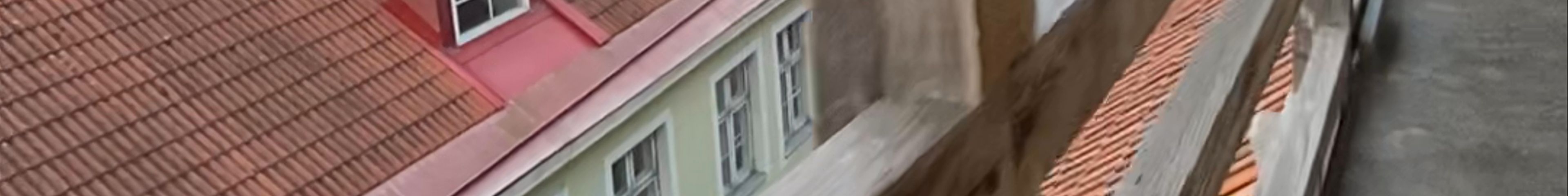 Tours & experiences in Estonia