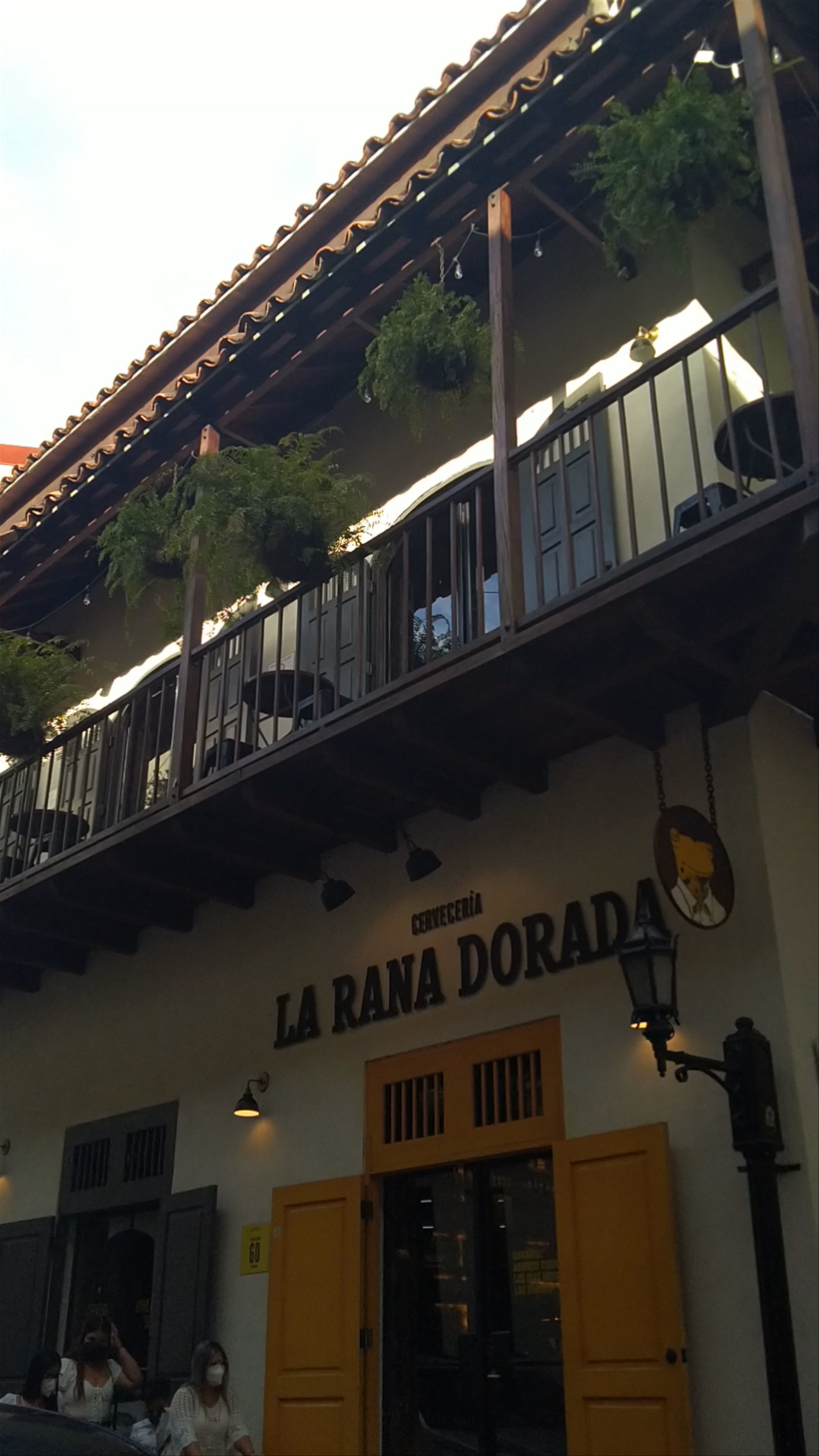 La Rana Dorada Casco