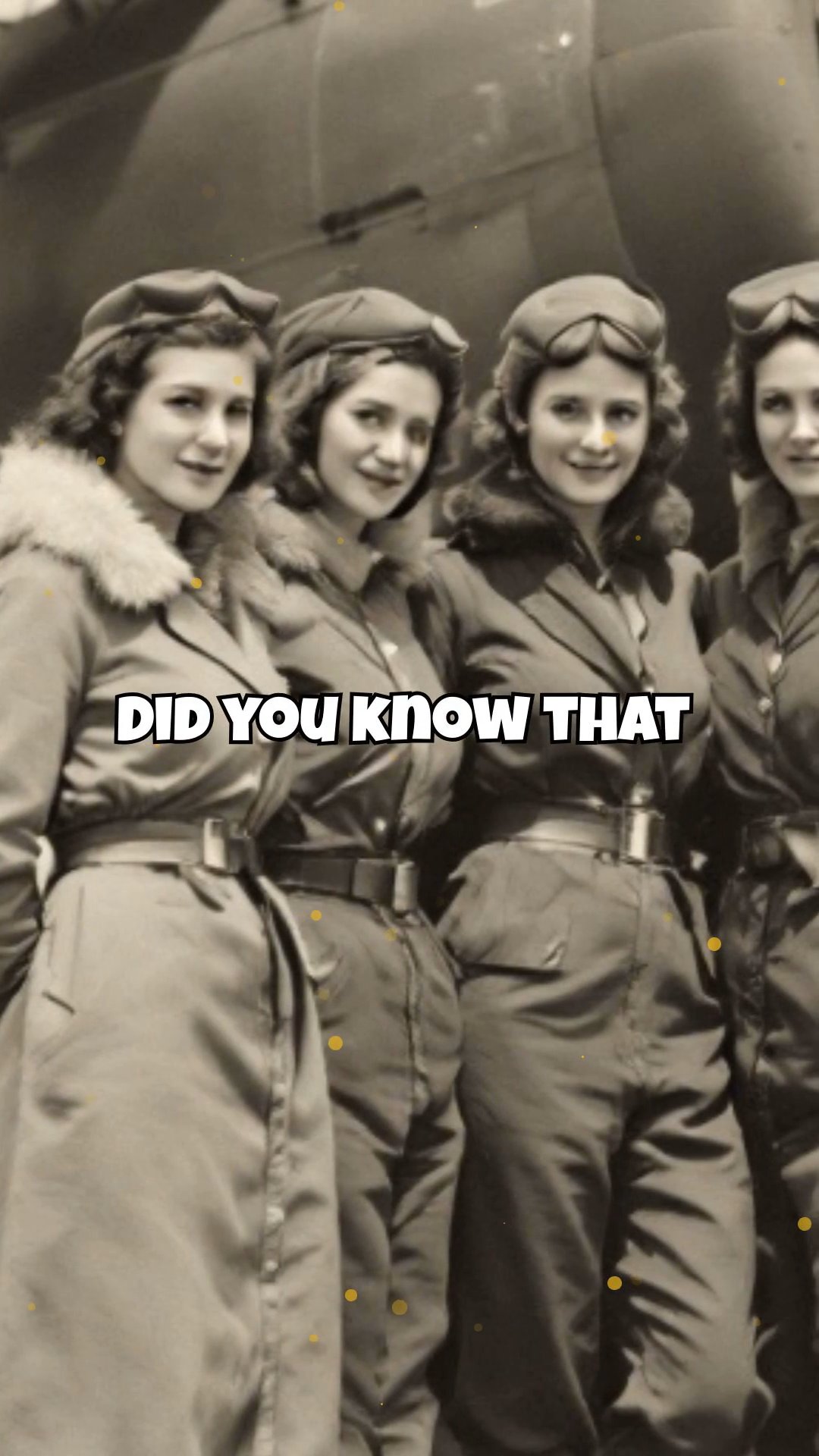 The Night Witches: The Fearless Female Pilots of WWII