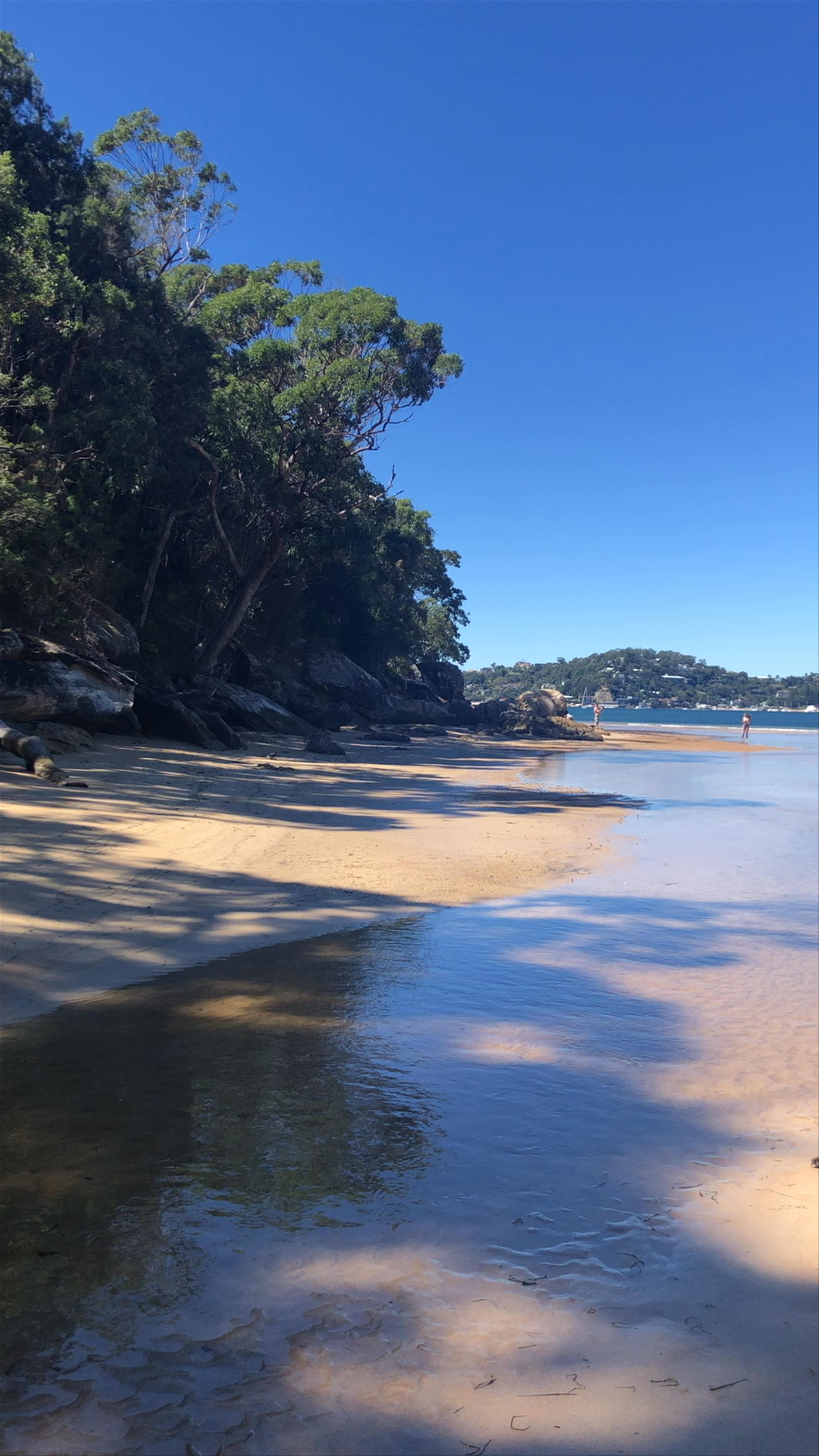 Mackeral Track Beach Walk in Ku-Ring-Gai Chase, New South Wales