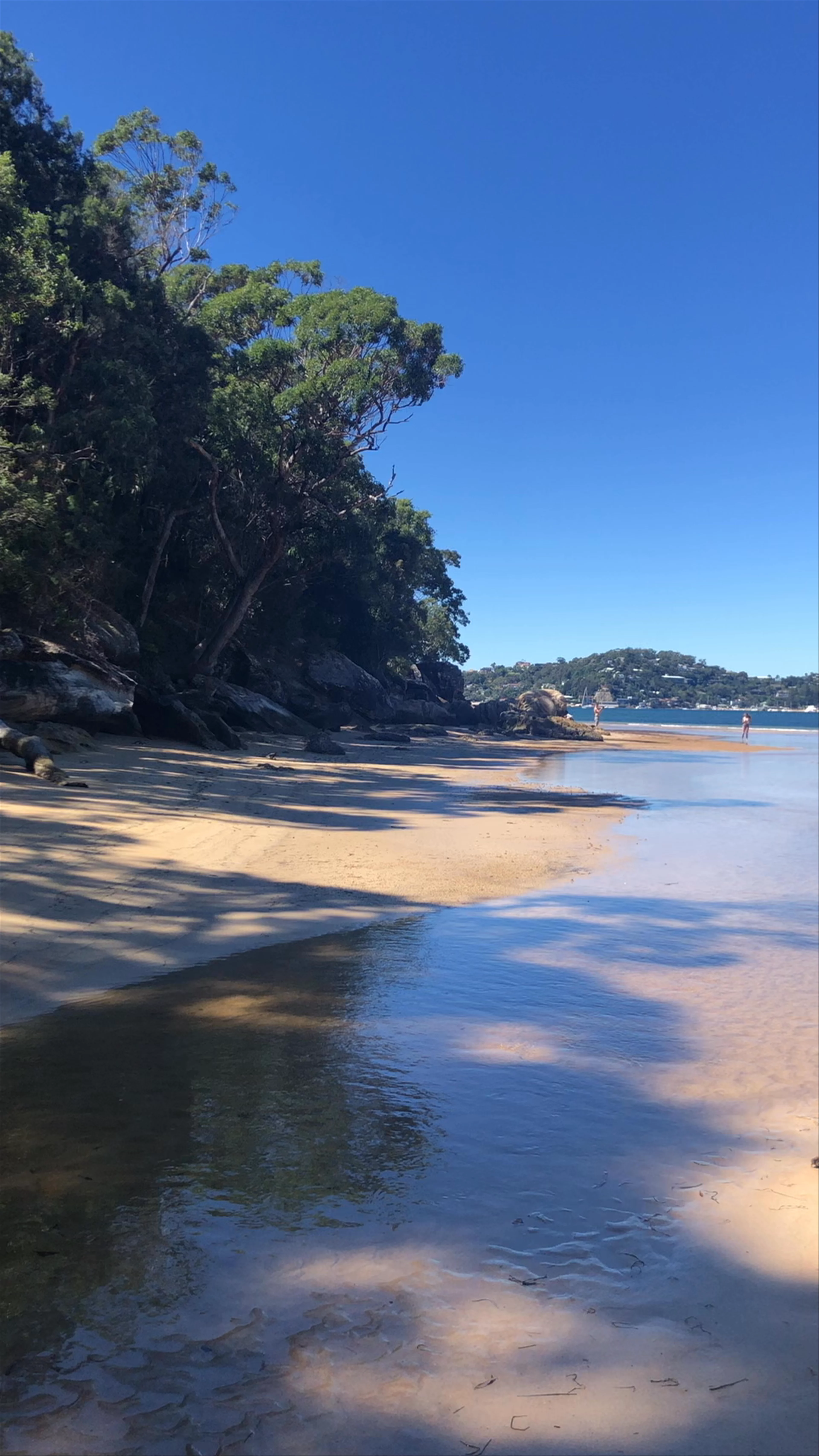 Mackeral Track, Ku-Ring-Gai Chase
