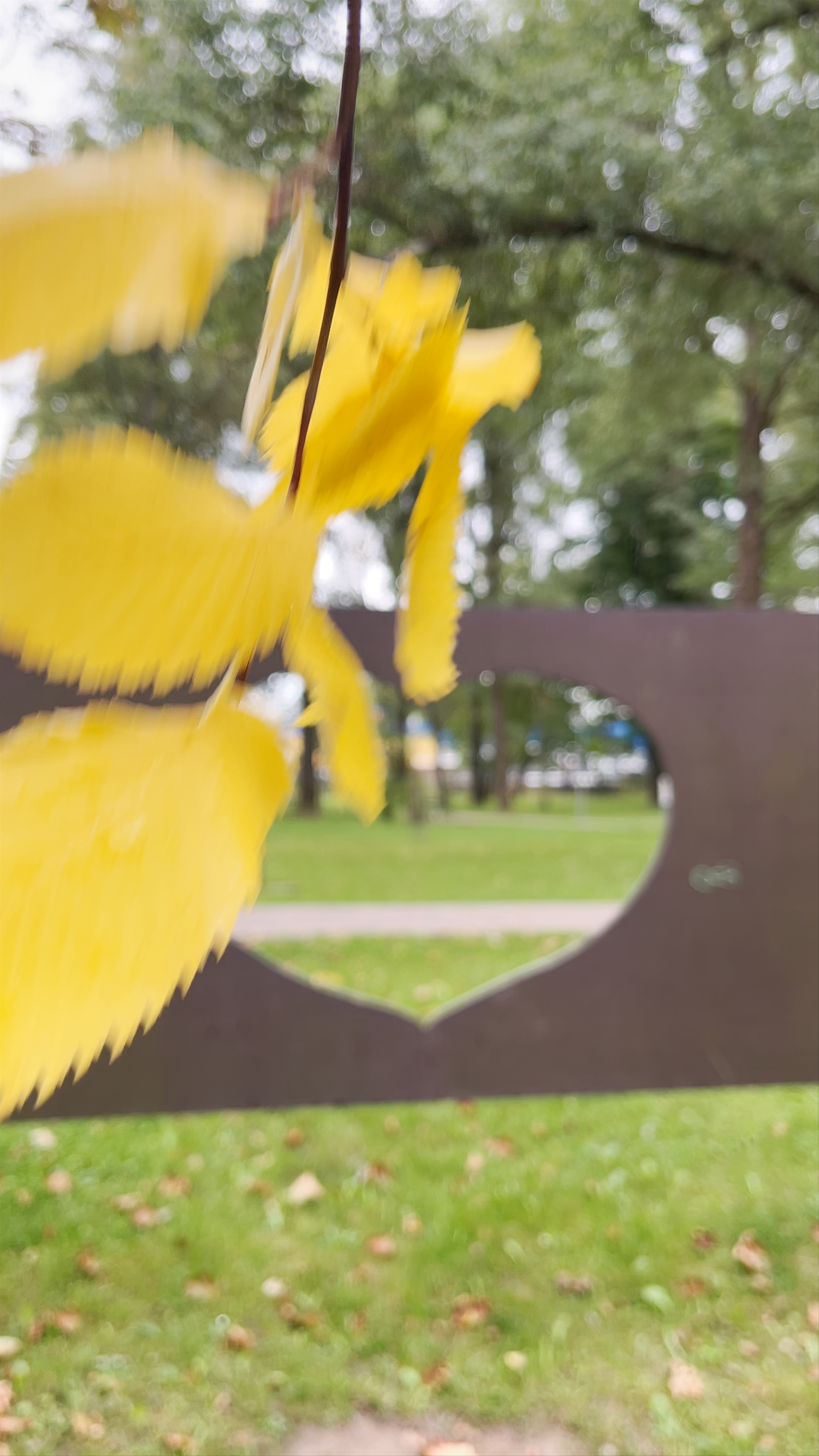 Kena Parks: Autumn Serenity in Jēkabpils, Latvia