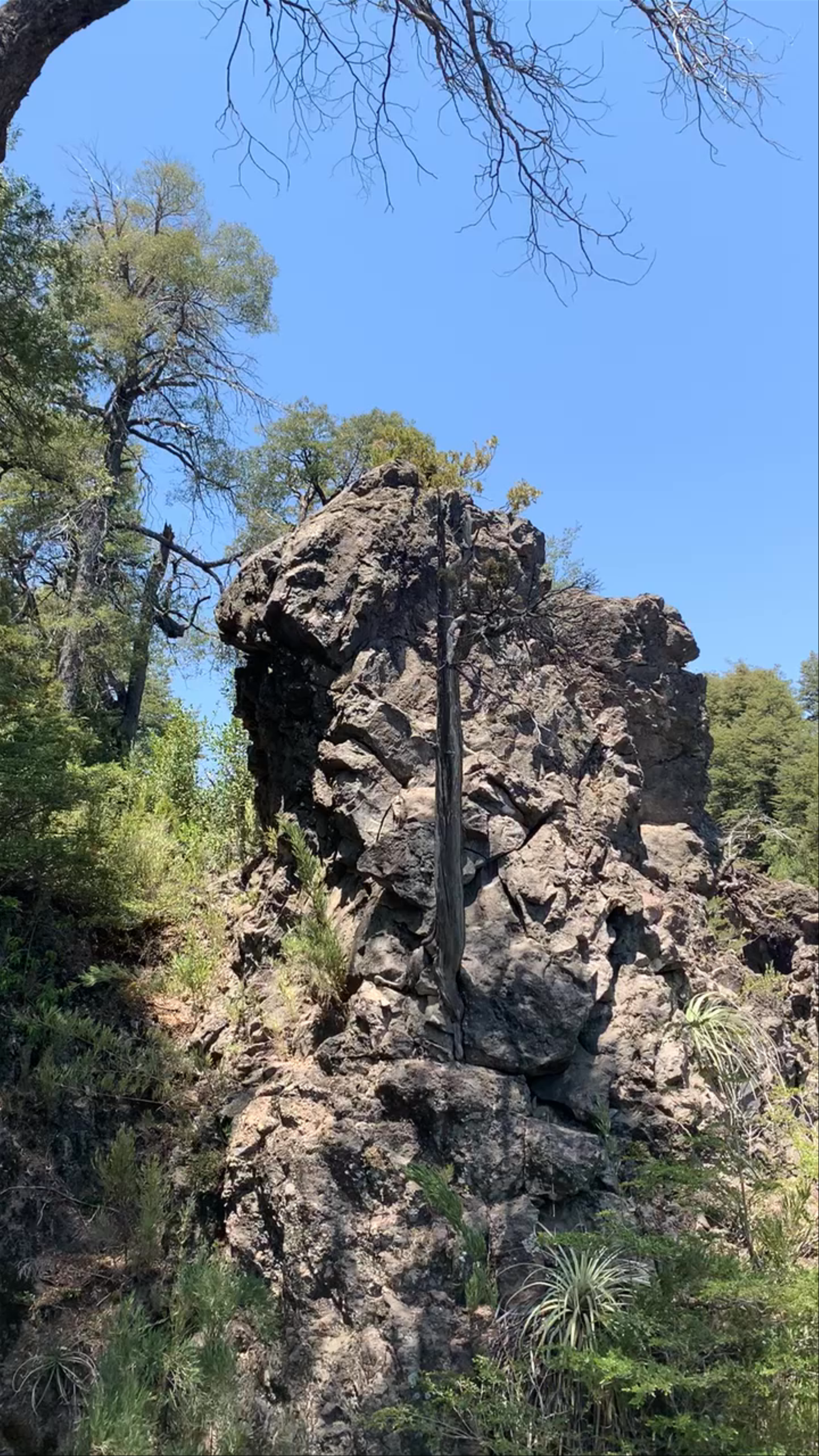 Camping Rocas Basálticas - Conaf