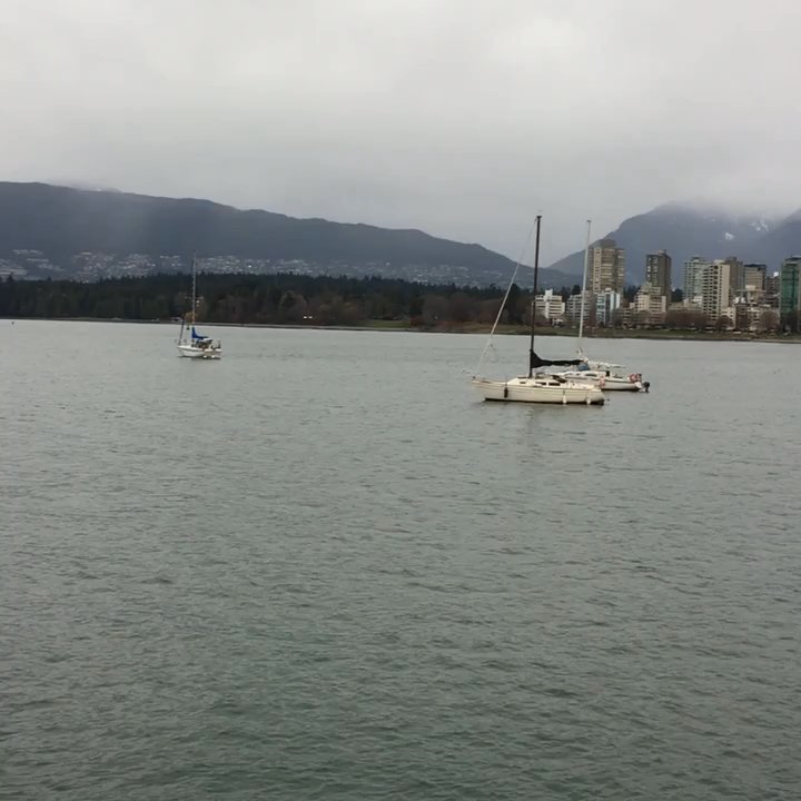 Hadden Park - View of English Bay & Vancouver Skyline - Dog Parks Near Me - Vancouver, British Columbia