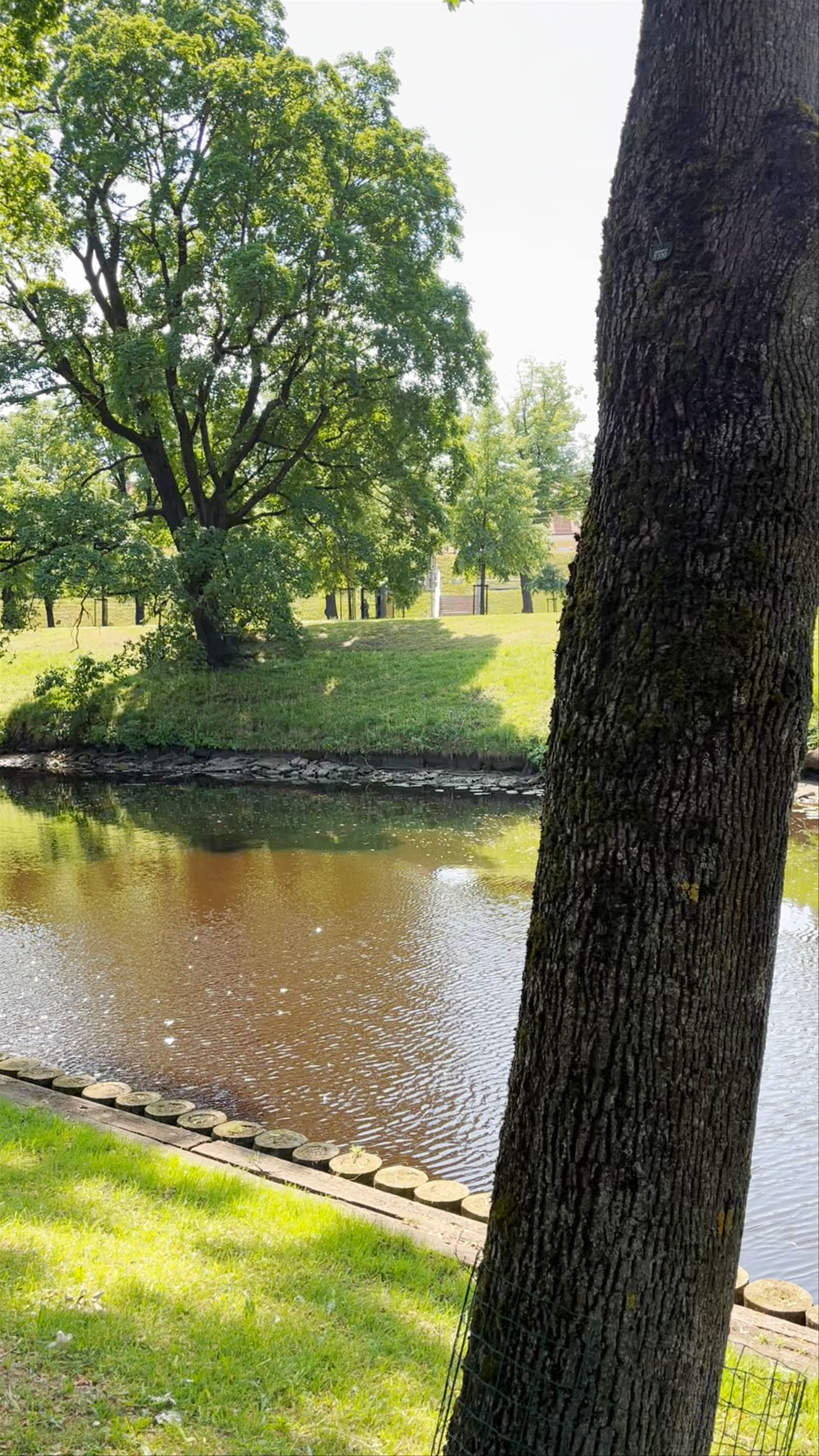 Serene Urban Walk Along the City Canal in Riga