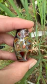Small image 1