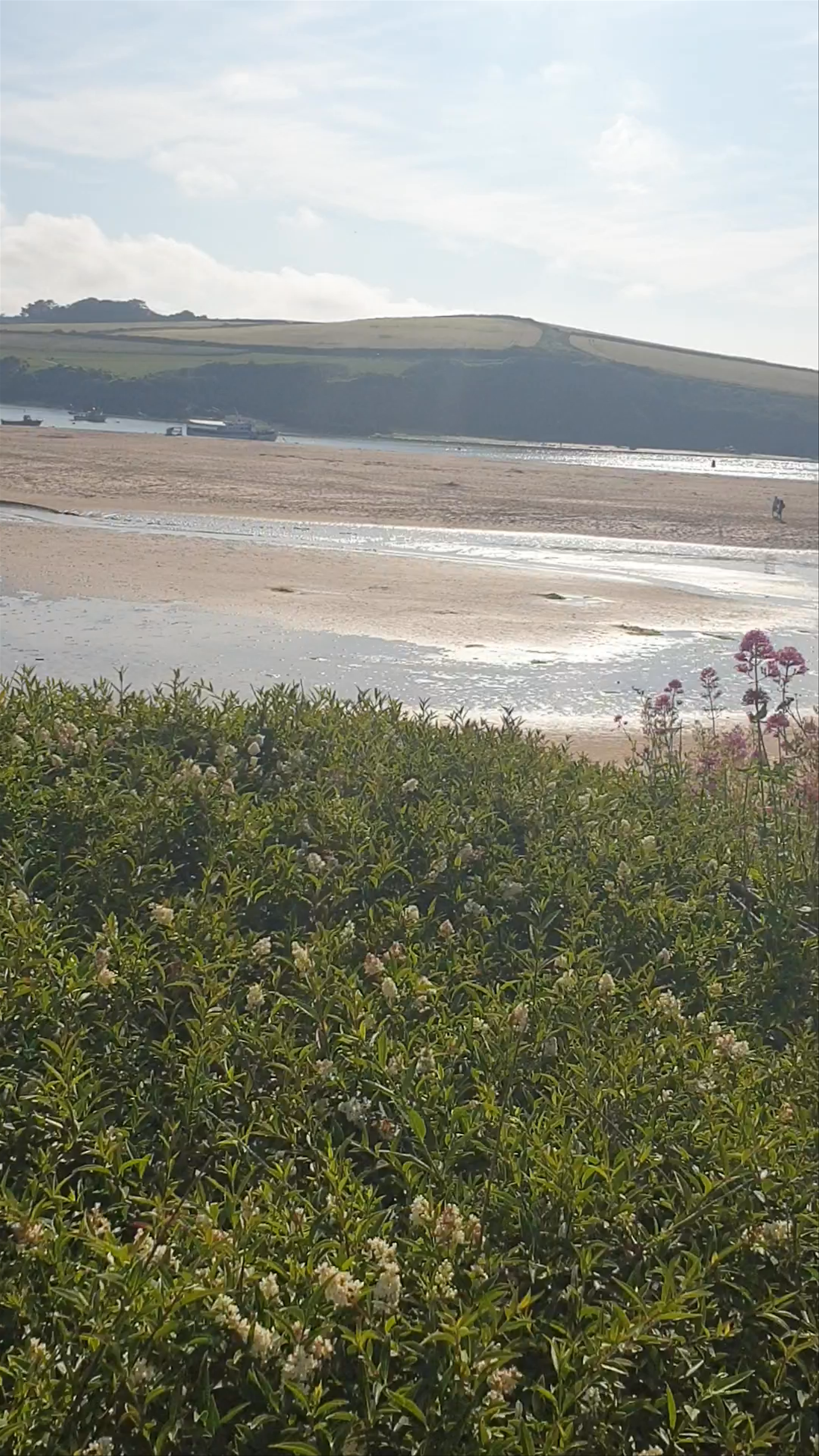 Rock Beach: Serene Coastal Escape in Wadebridge, UK