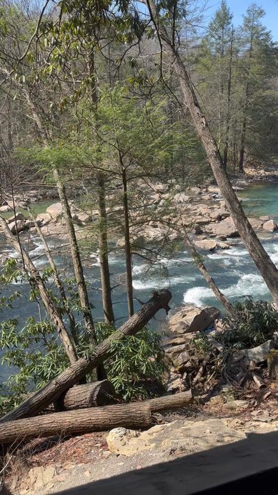 Audra State Park - View of water with someone relaxing and saying hi! - Parks Near Me - Buckhannon, West Virginia