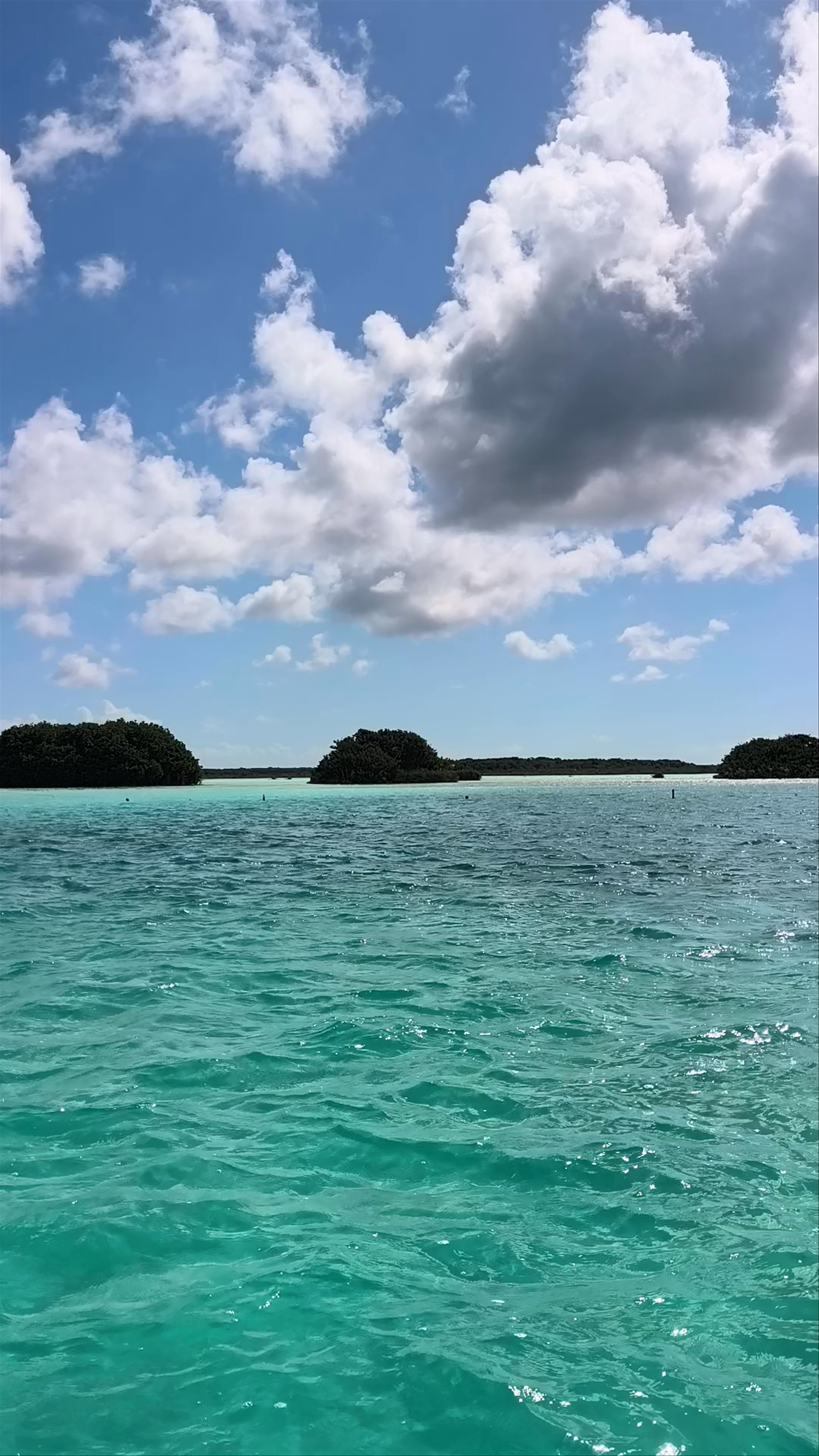 Isla de los Pájaros
