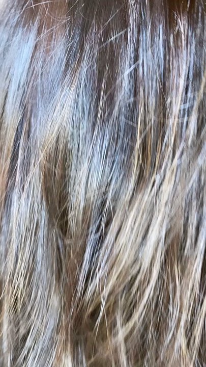 Spank Salon - Foil/ Balayage / haircut  By Ashley - Hair Salons Near Me - Alameda, California