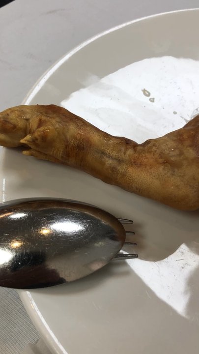 Video thumbnail 8 more videos