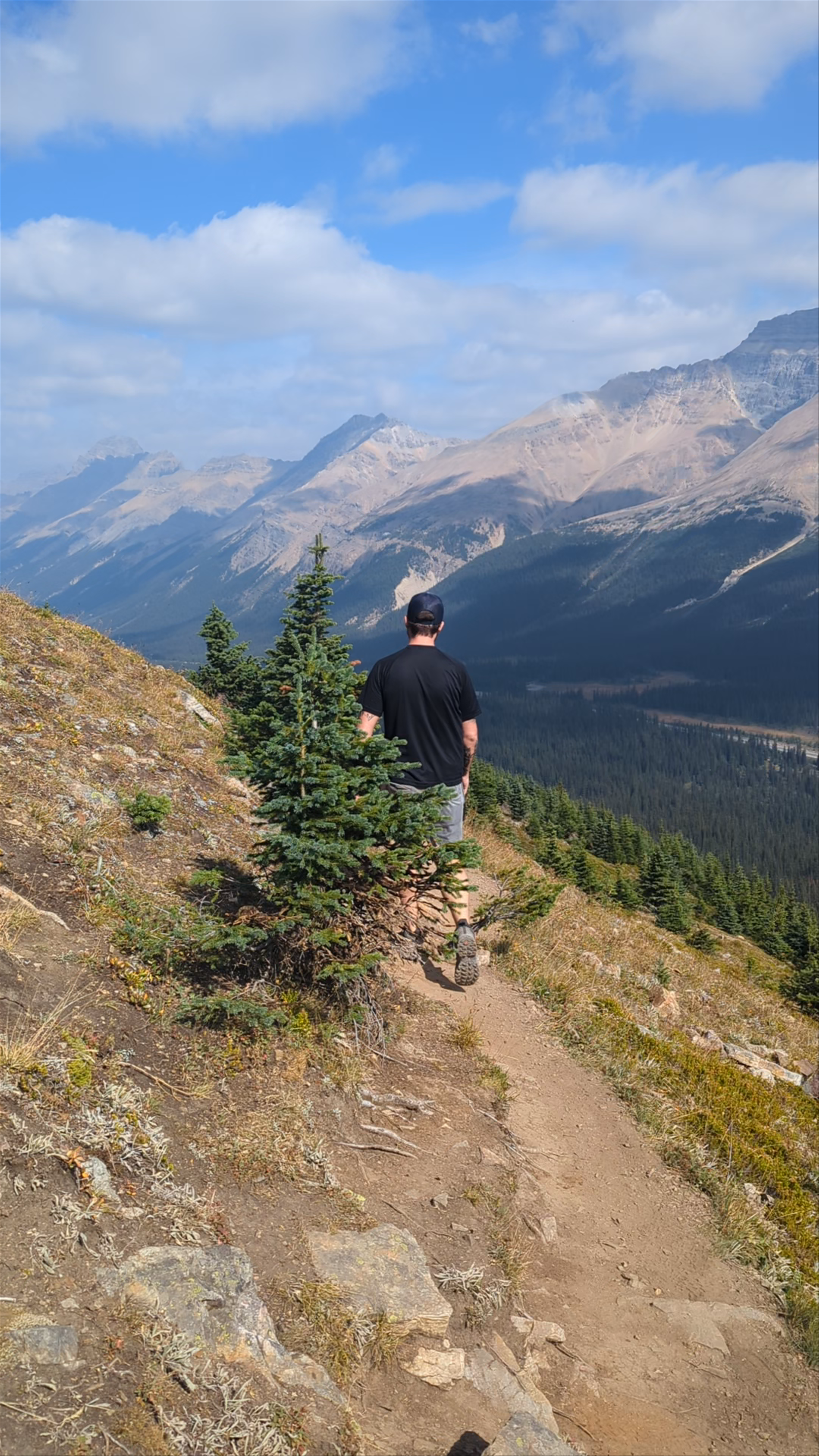 Bow Summit and Peyto Lake Viewpoint Trailhead
