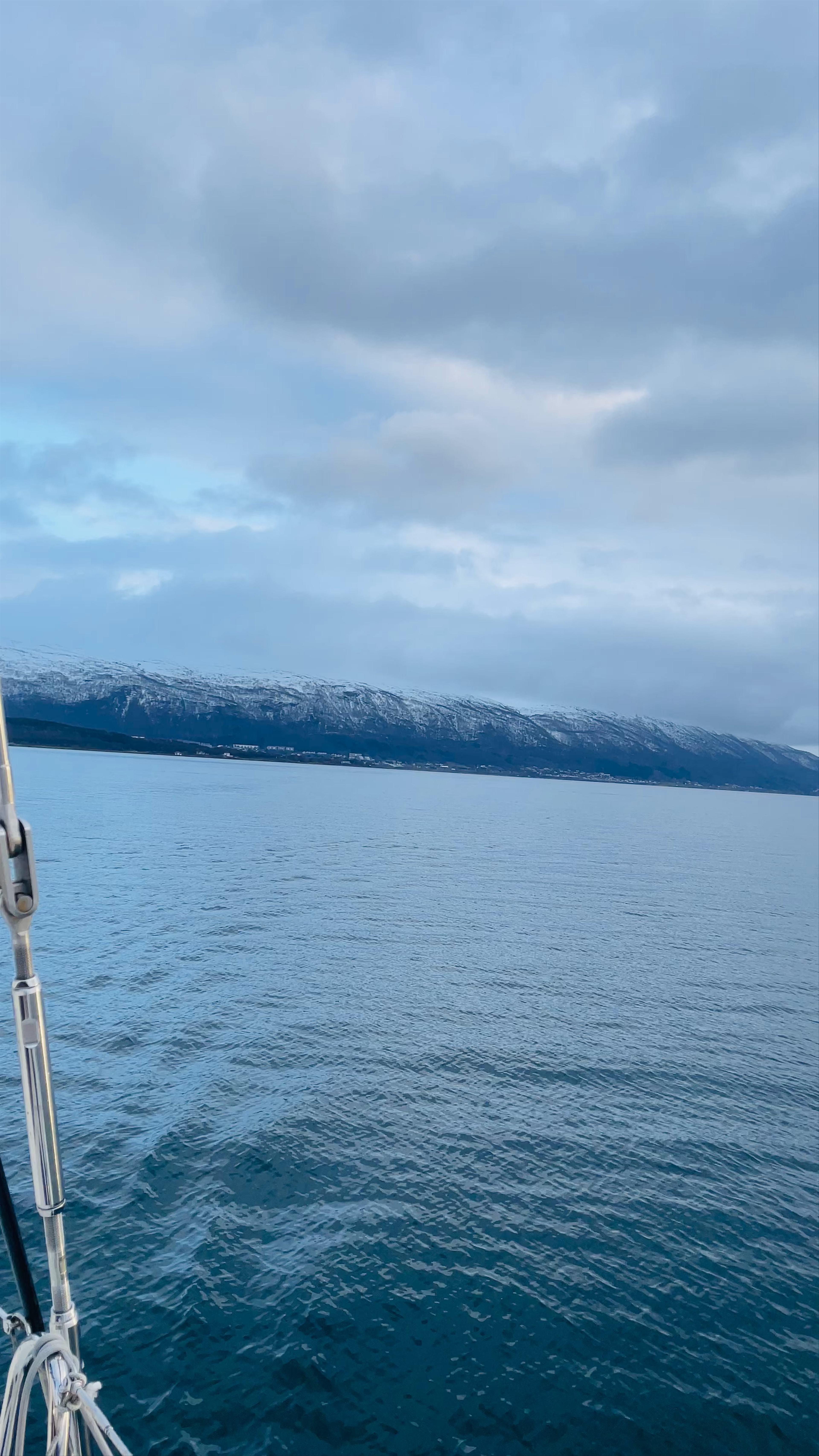 Serene Fjord Tour in Tromsø, Norway