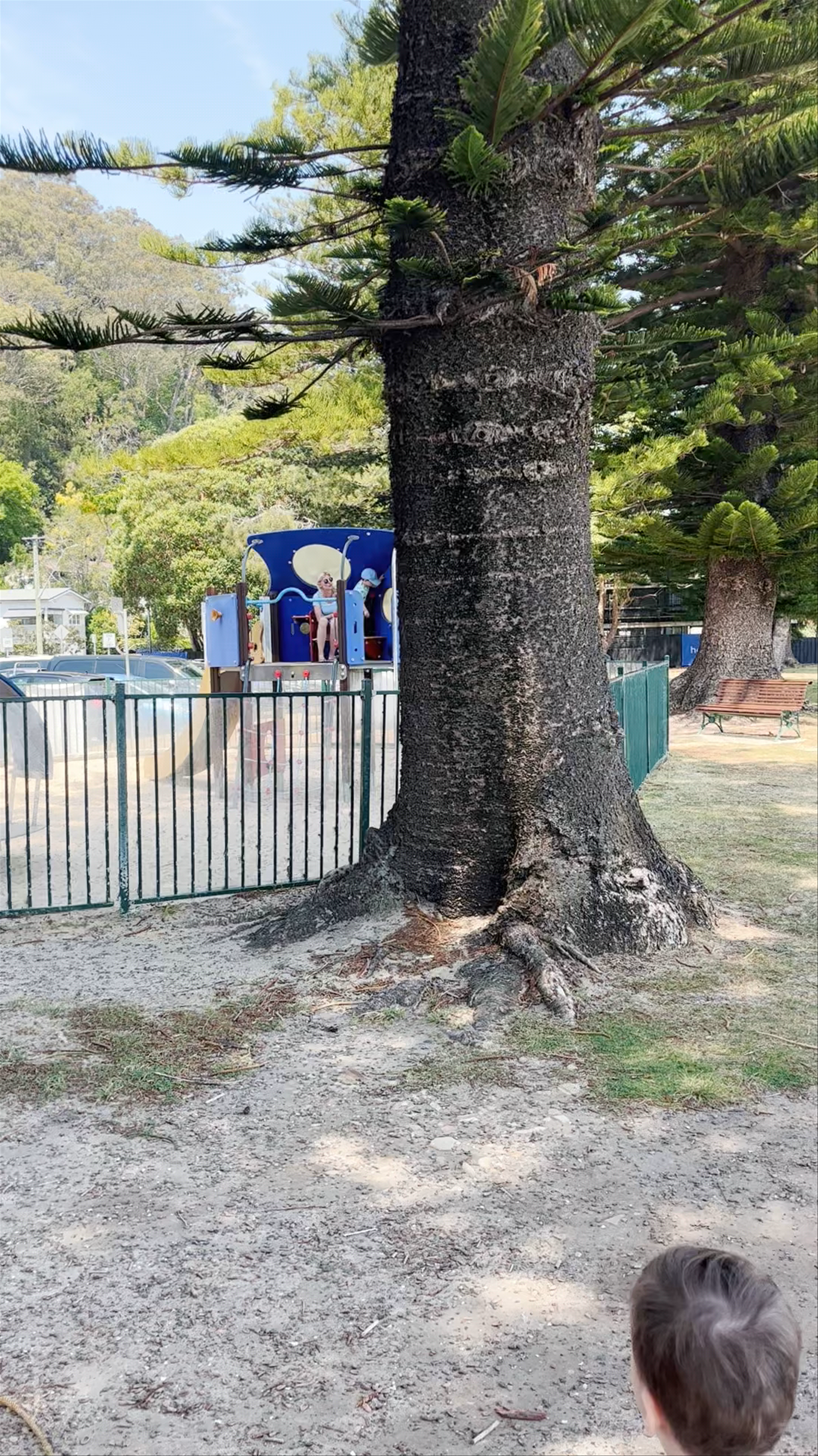 Pittwater Park & Playground