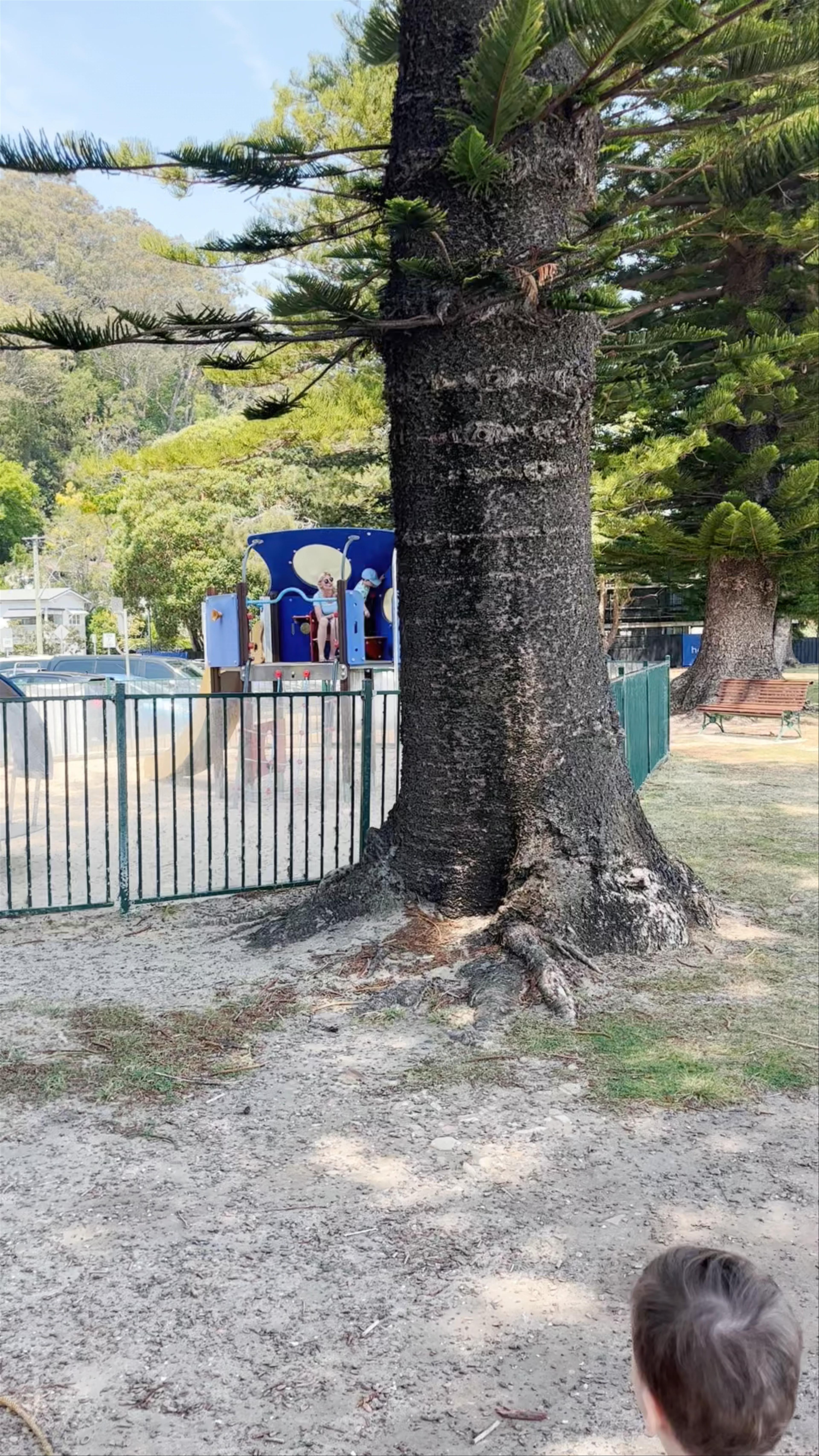 Pittwater Park & Playground