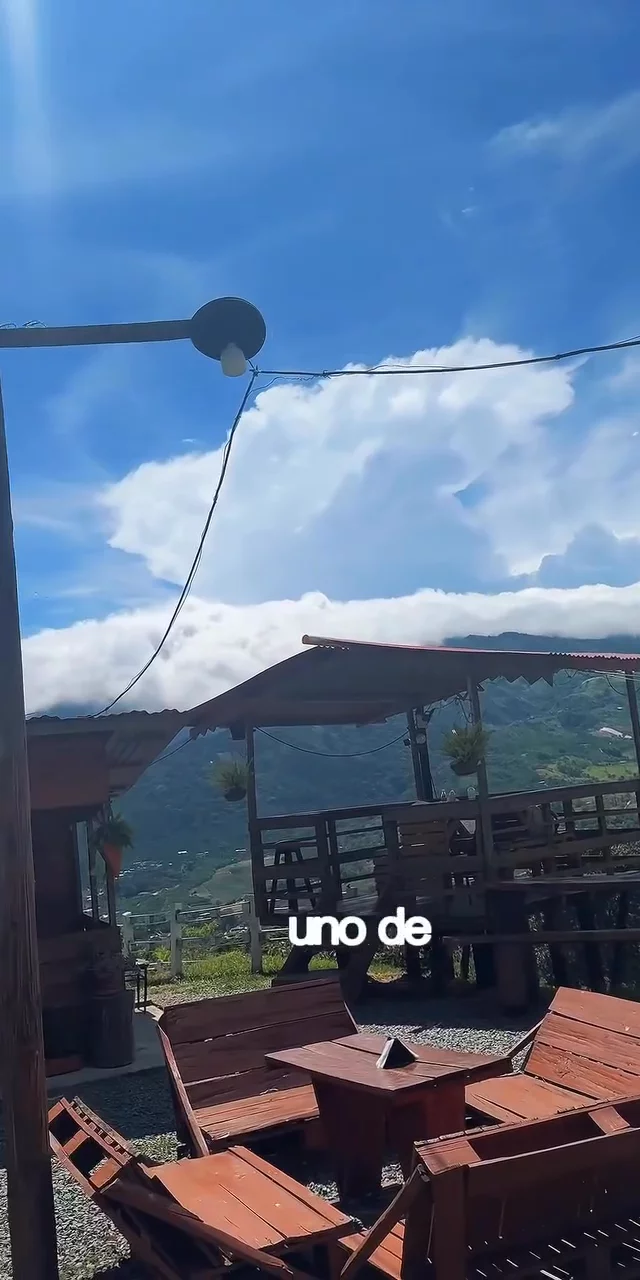 Contenido del creador