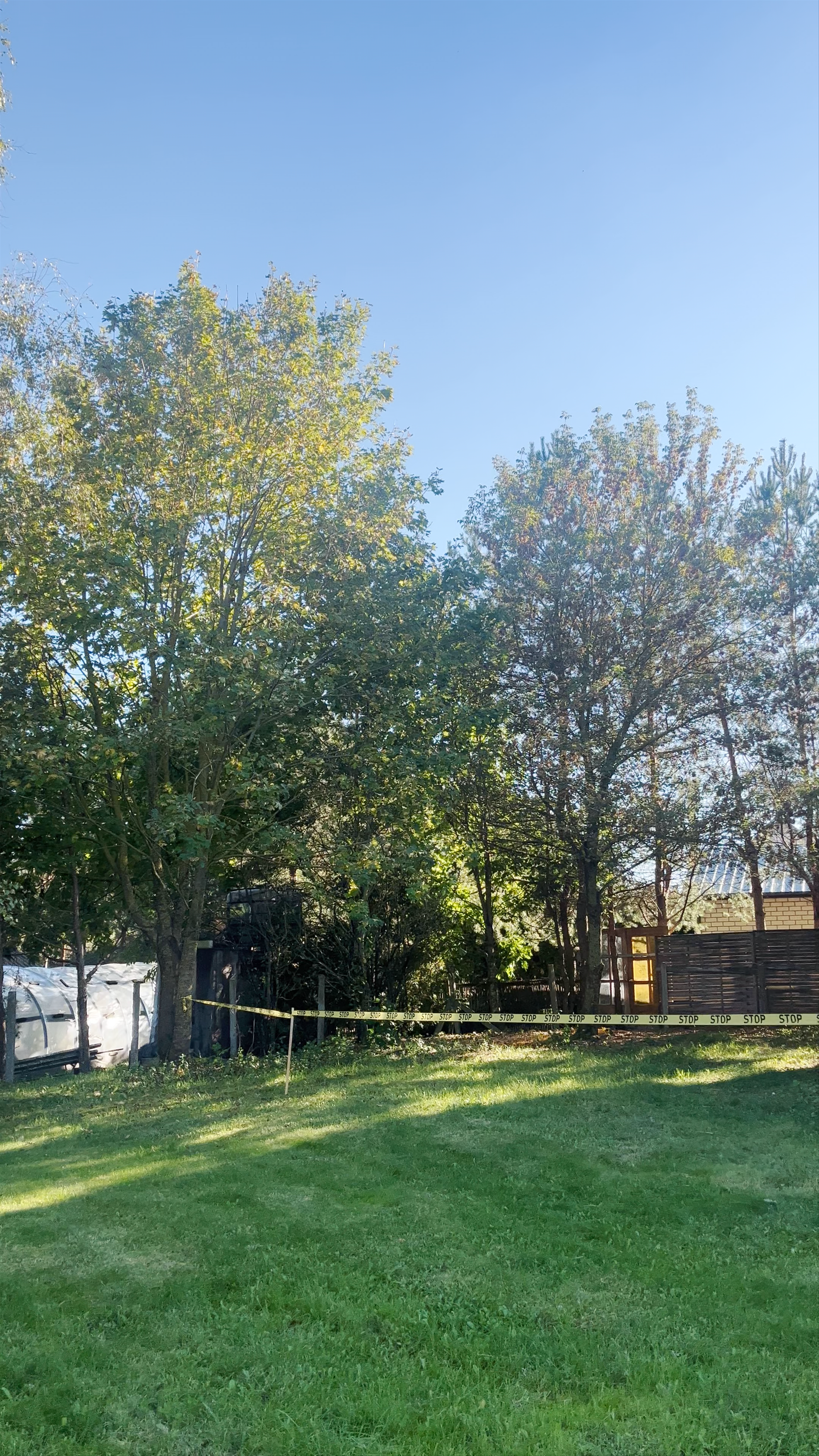 Sigutėnų vėjo malūnas