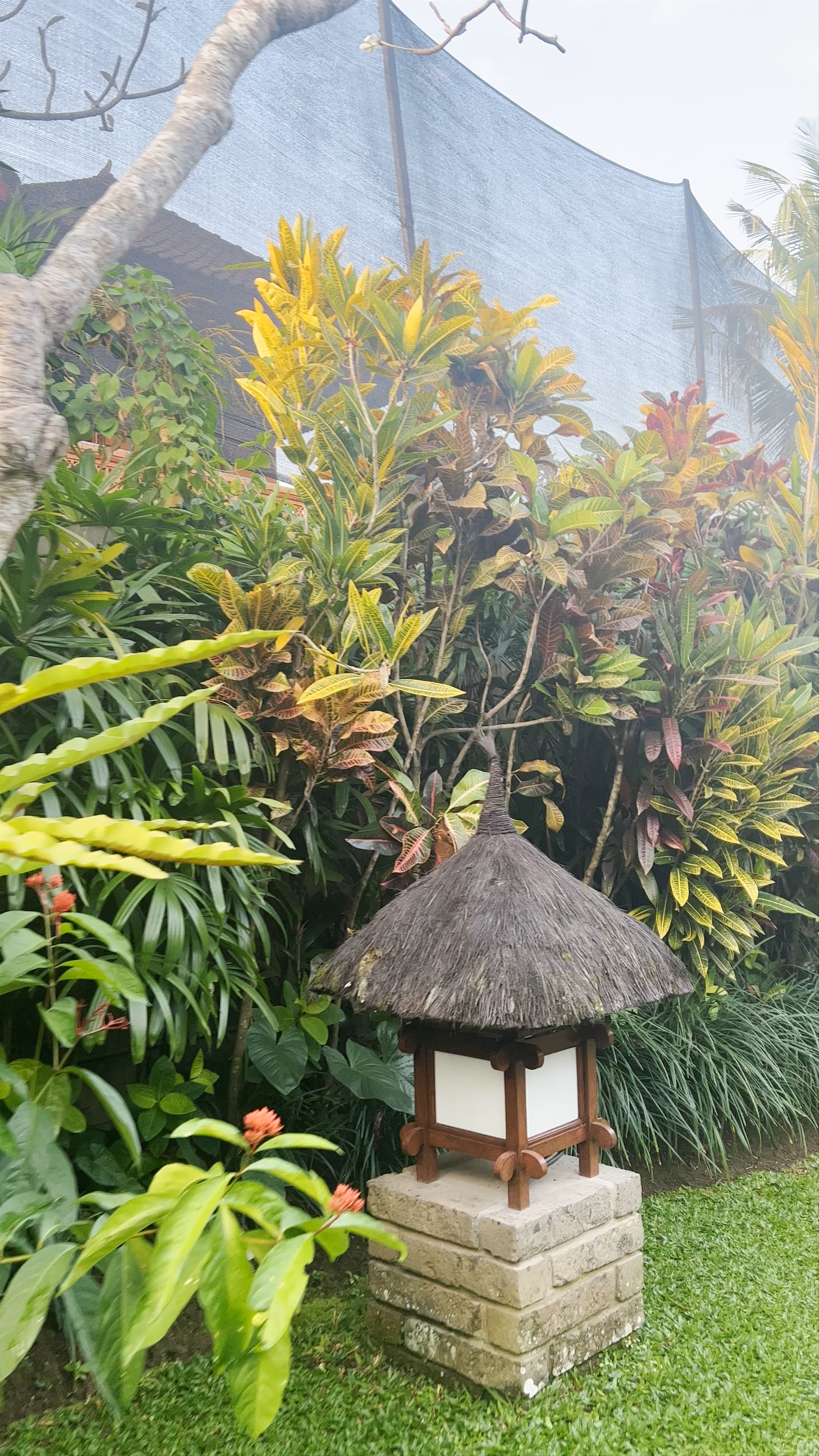 Ubud Bungalows