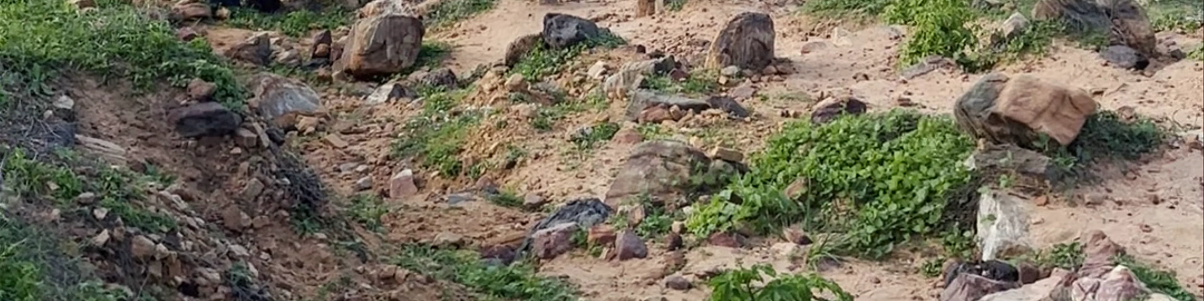 Pedra Furada - Jericoacoara