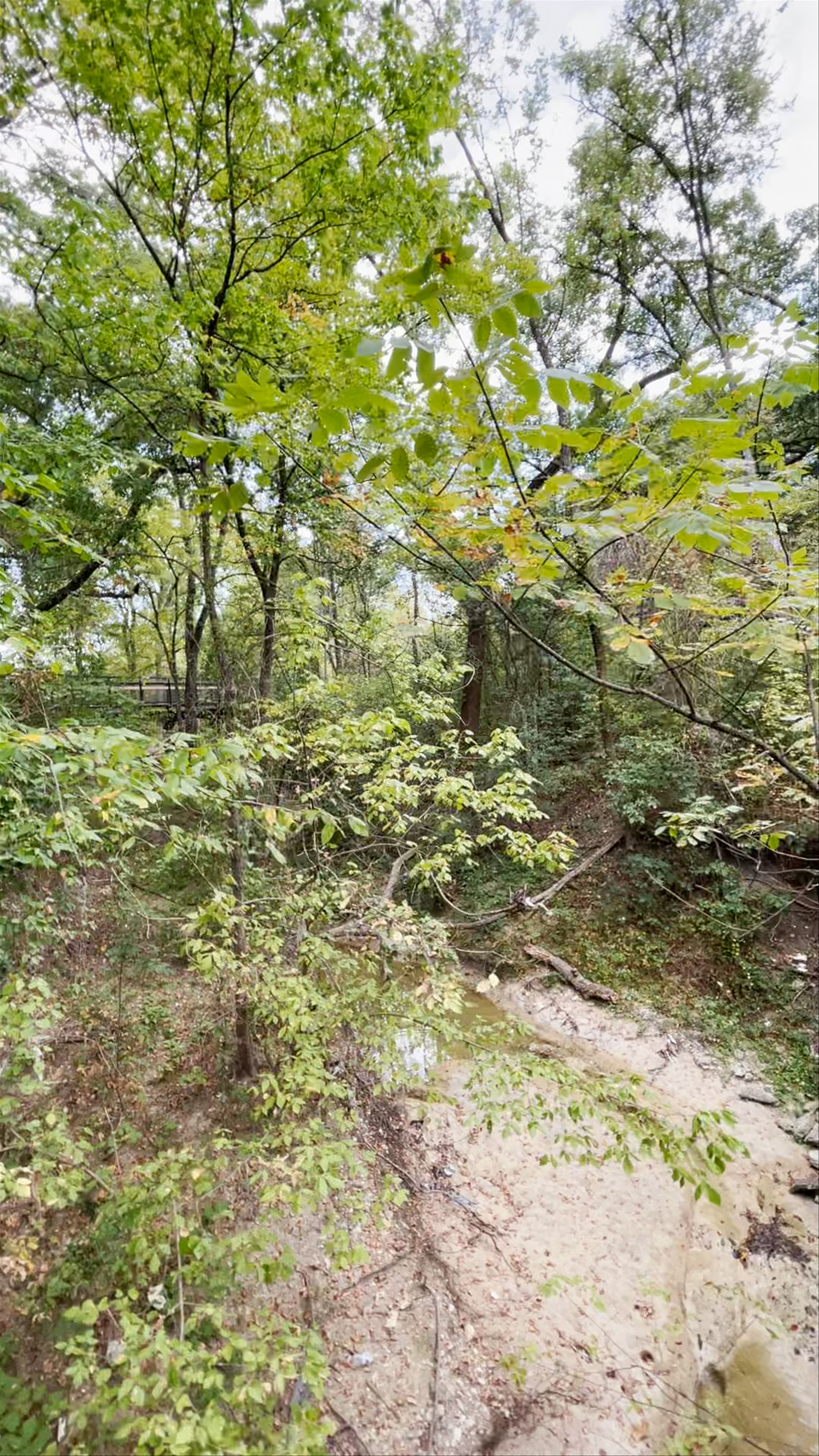 Nature Walk Trail with Elevated Bridge in Garland, Texas