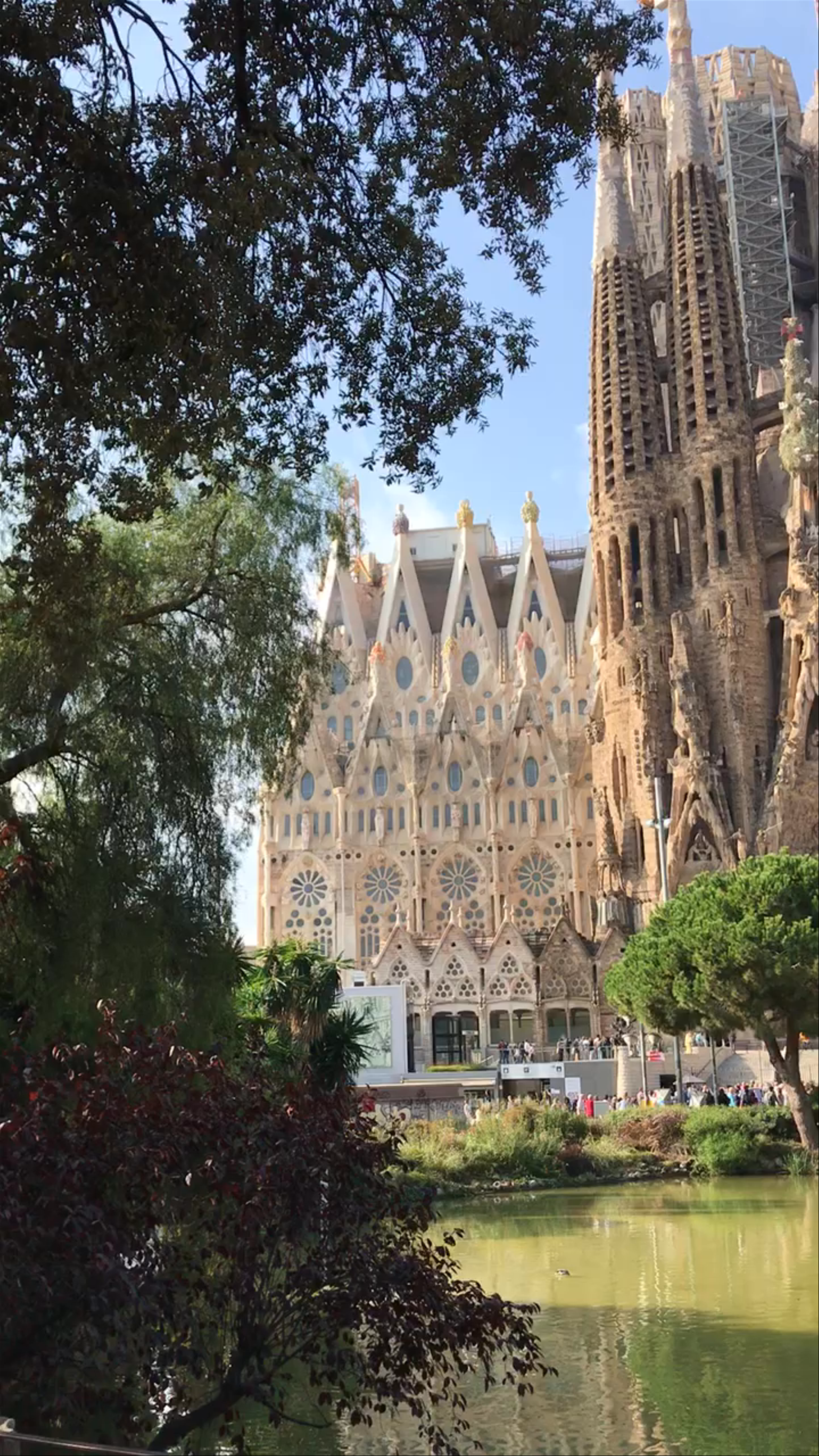 Sagrada Família: Gaudí’s Iconic Masterpiece Framed by Nature