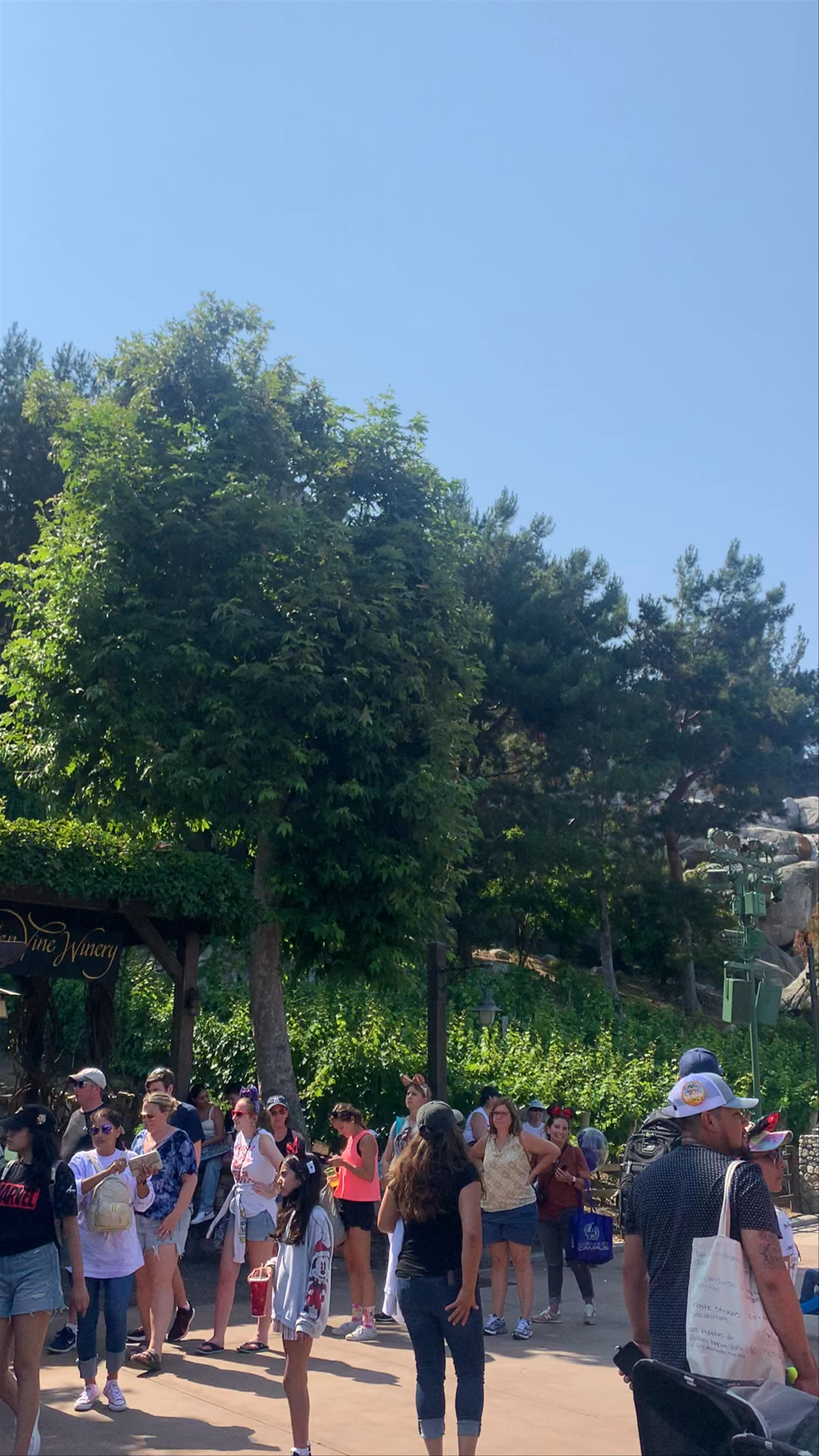 Disney California Adventure Park