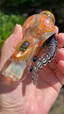 Small image 9