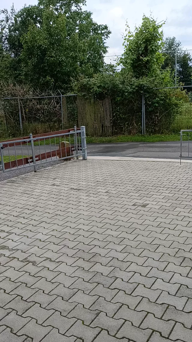 riu submission: one footed half rev