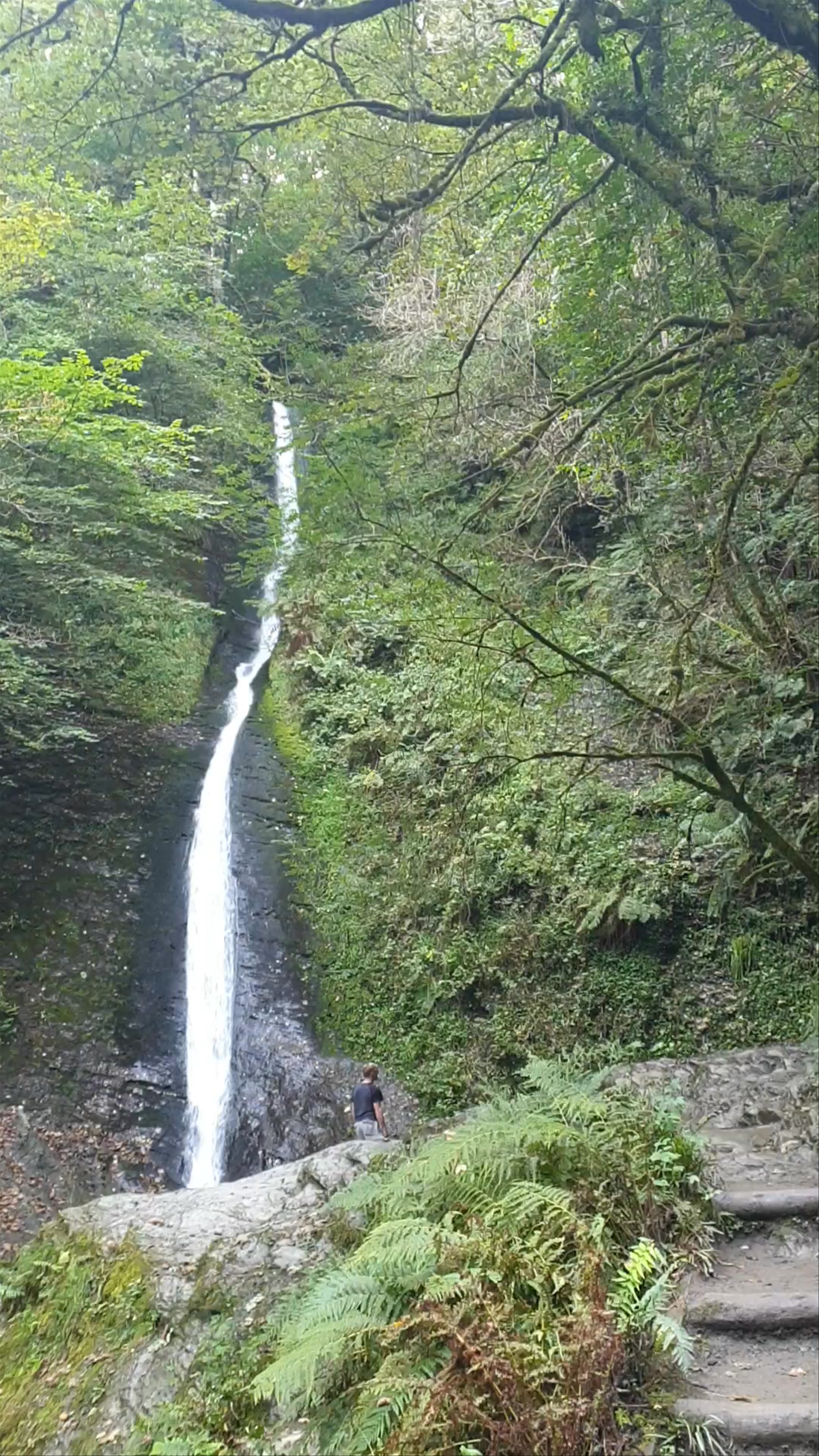 Lydford Gorge