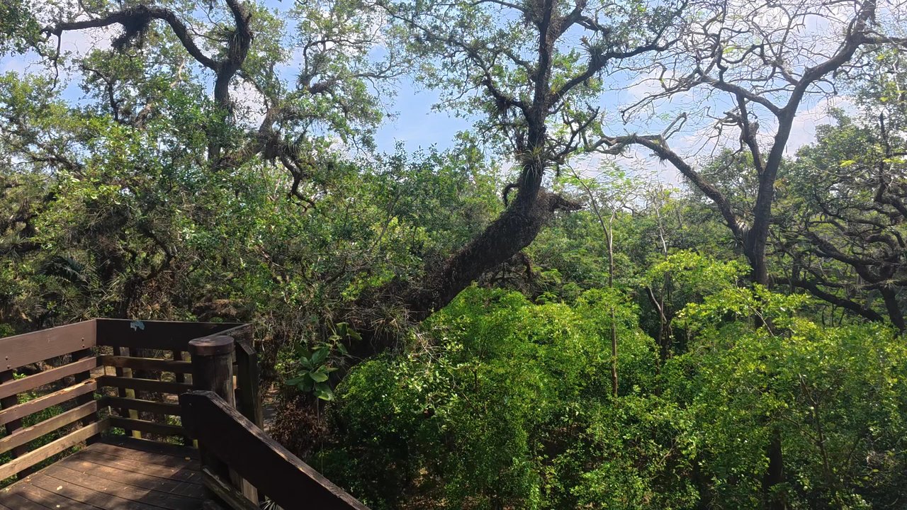 Tree Tops Park - View Point Views - Parks Near Me - Davie, Florida