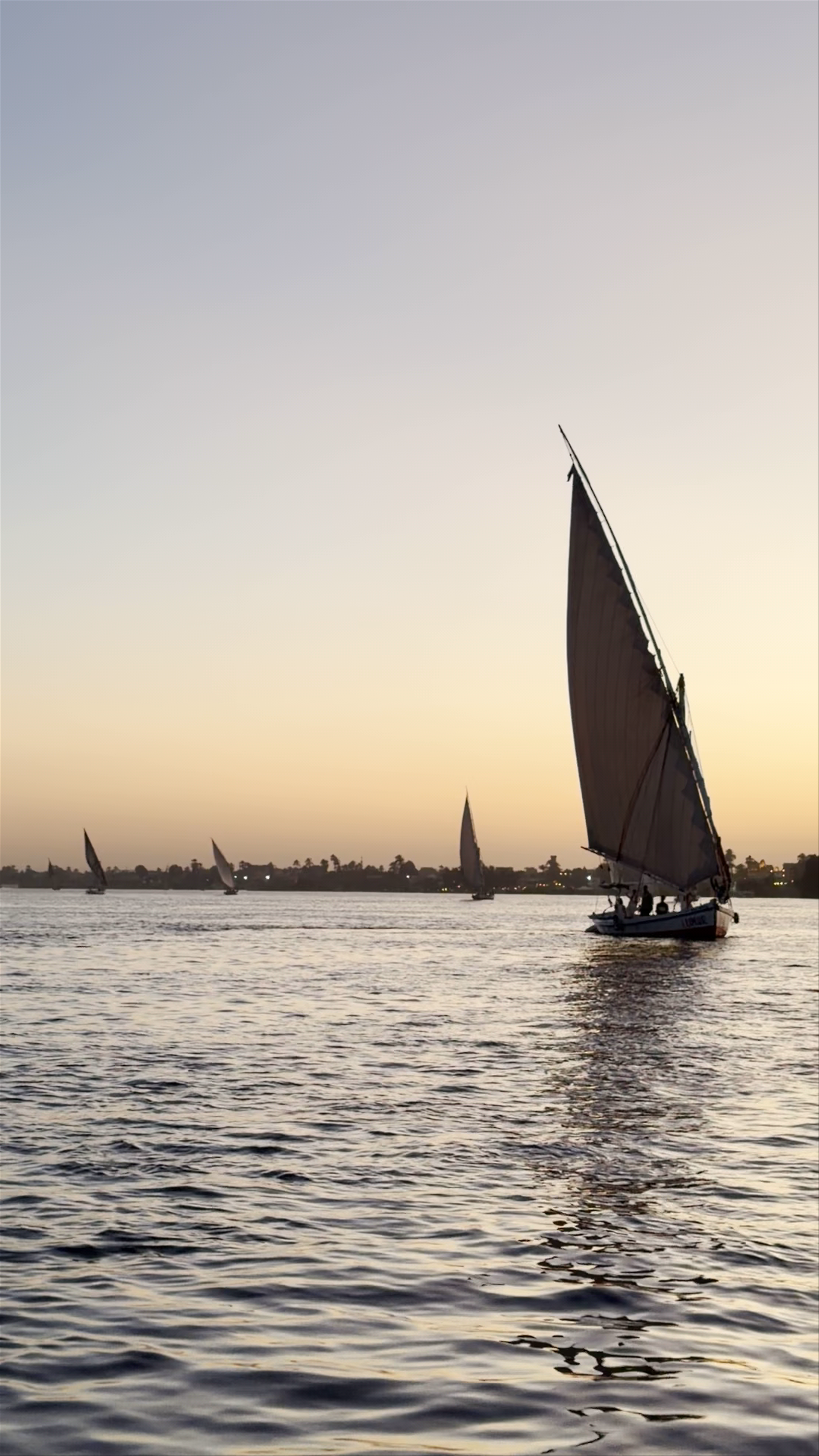 Sailing boat Felucca