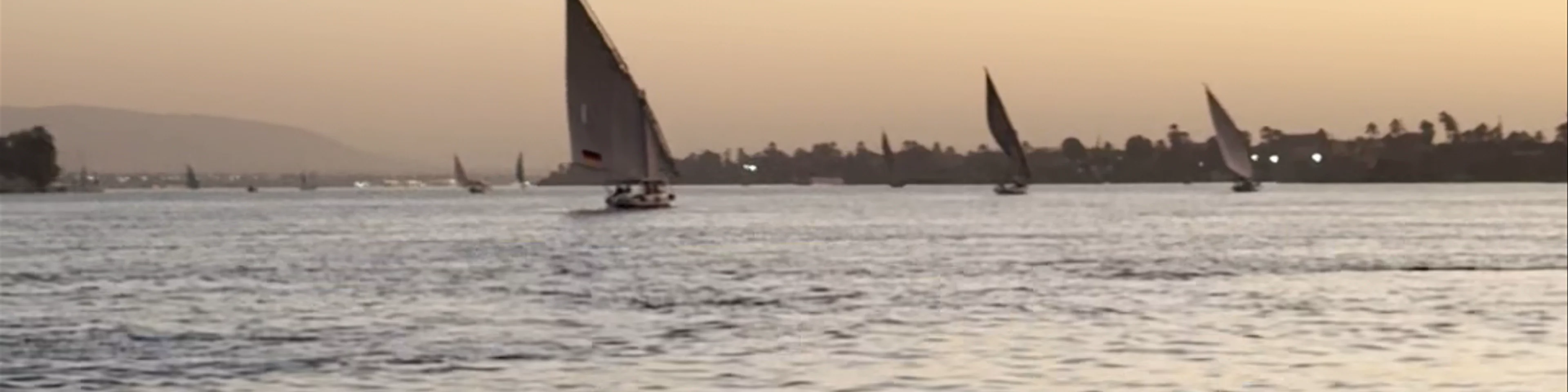Sailing boat Felucca