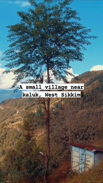 Photo of Unexplored Paths Lea