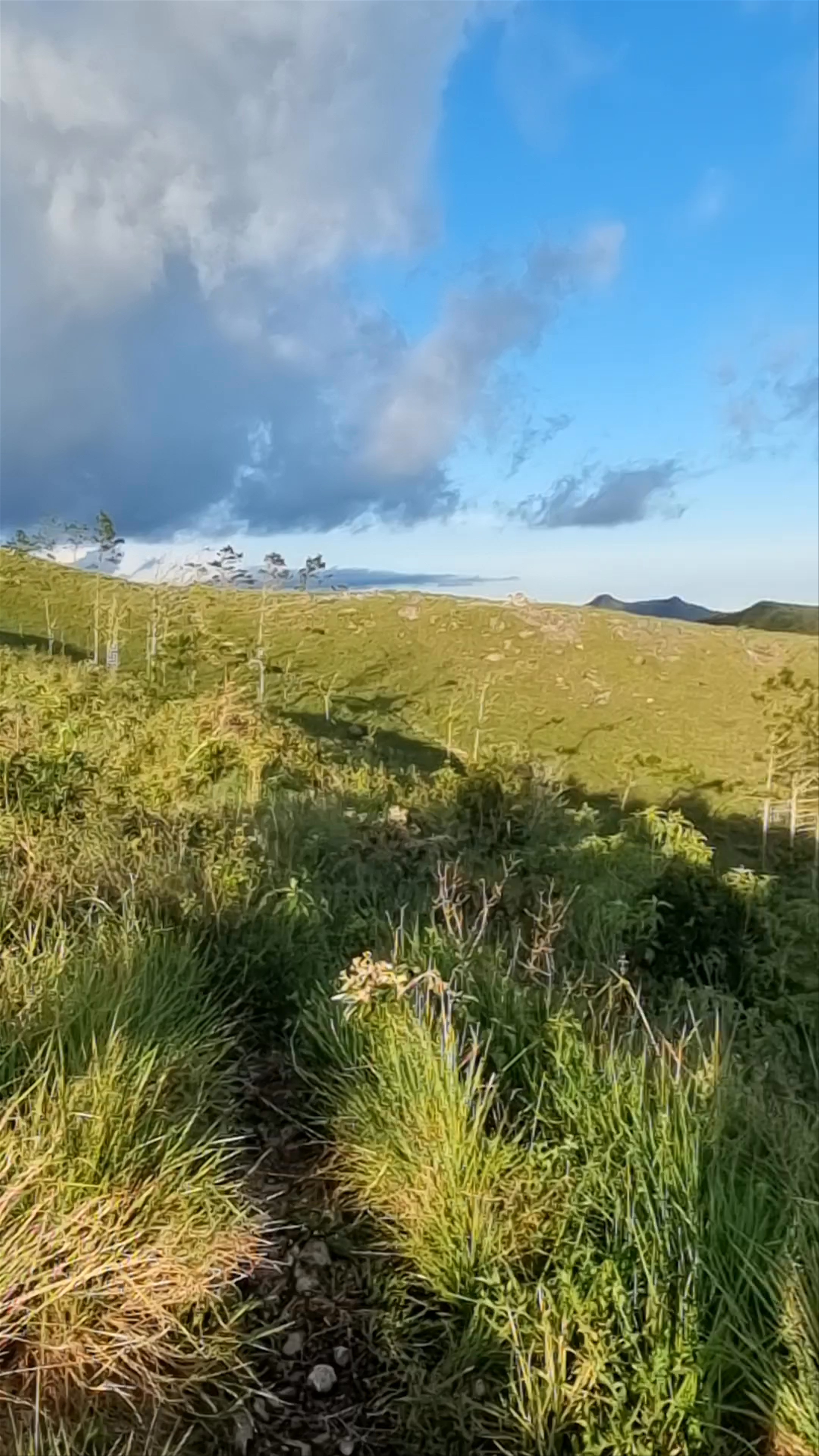 Cerro Cariguana: Panoramic Hiking Adventure in El Valle de Antón, Panama