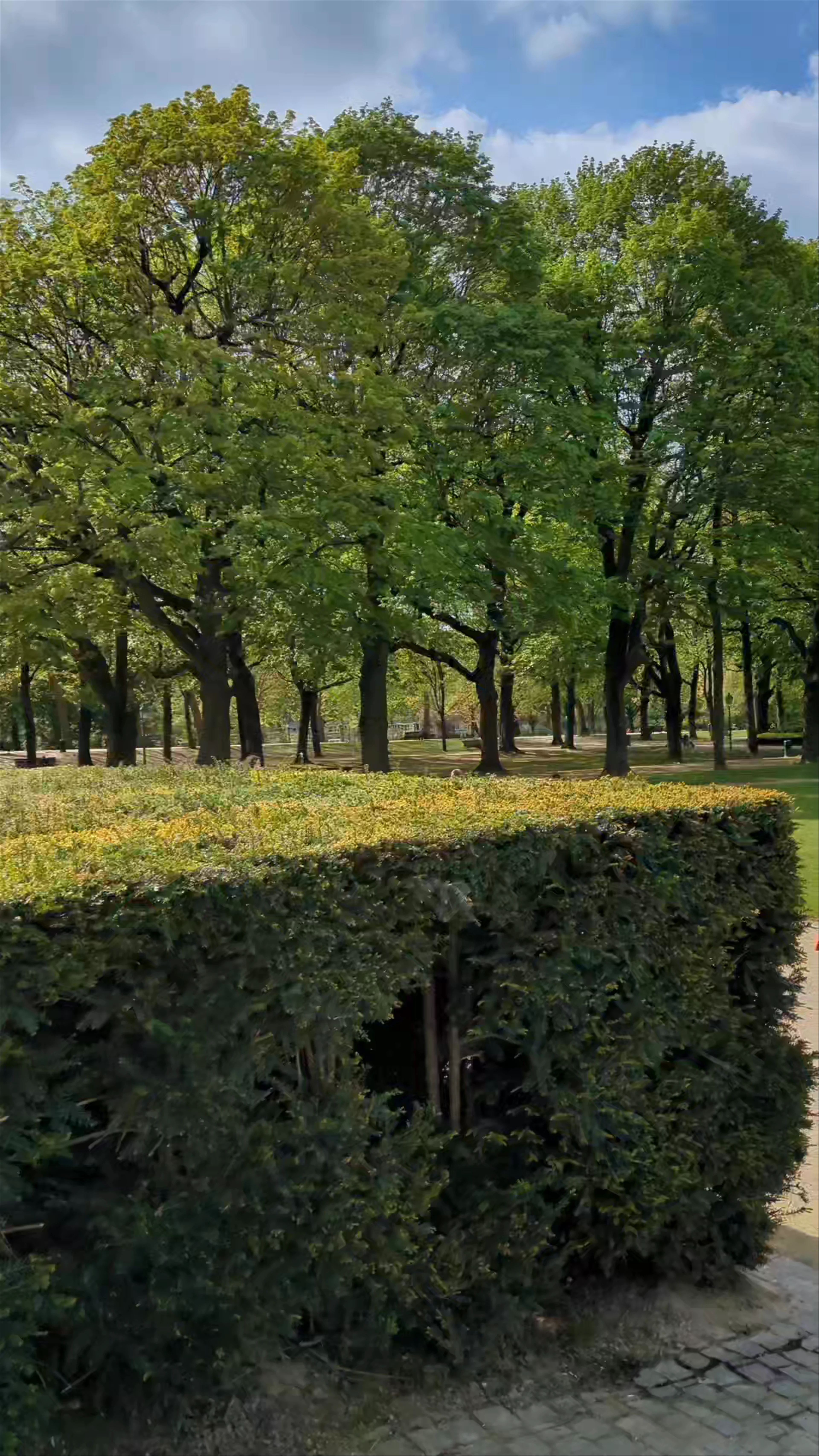 Parc du Cinquantenaire