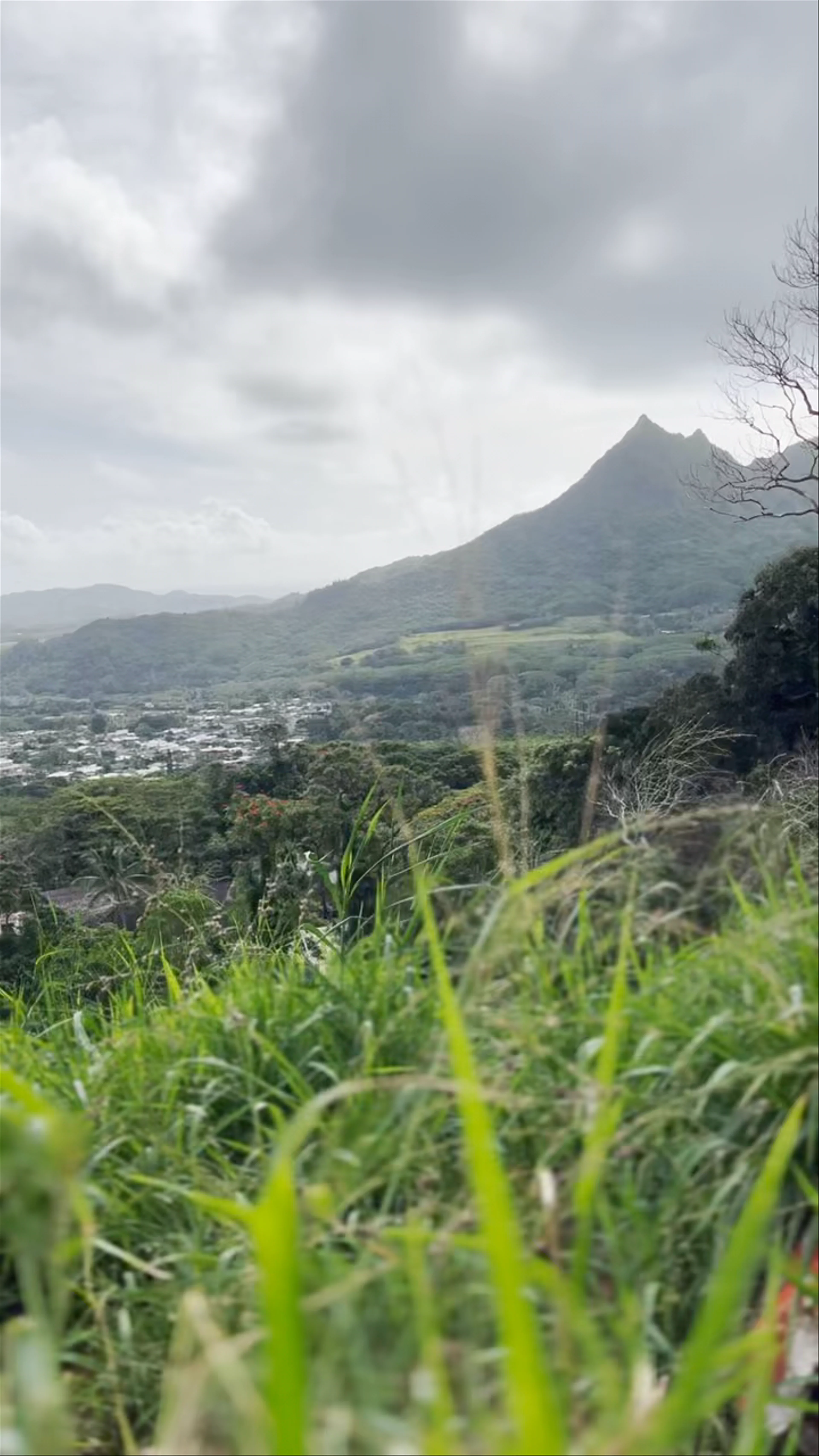 Nuʻuanu Pali Lookout
