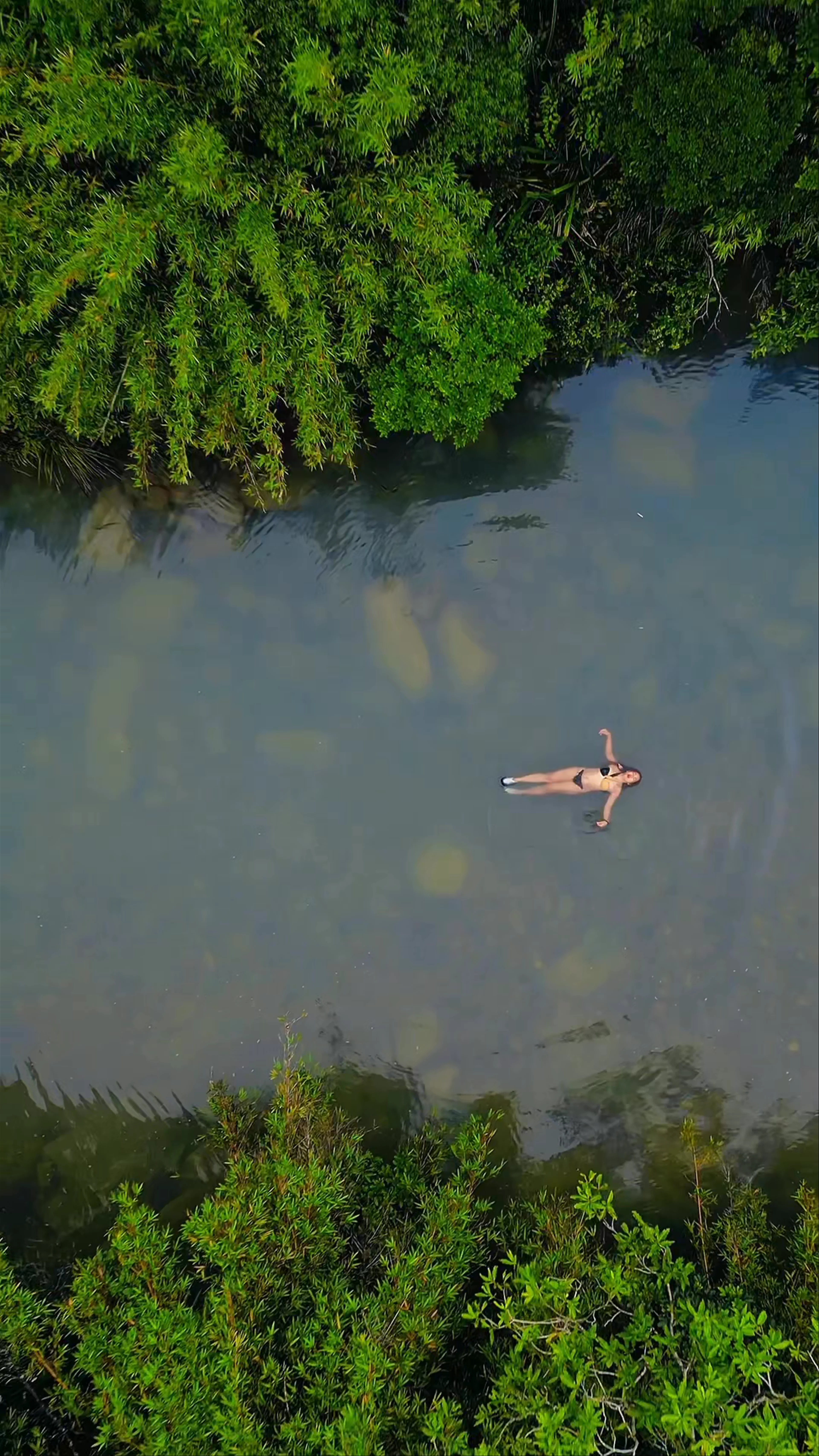 Sheung Luk Stream