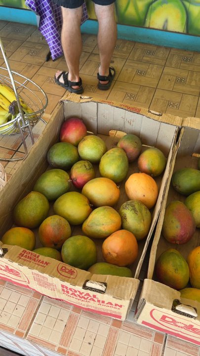 Coconut Corner - Thai Near Me - Waimea, Hawaii