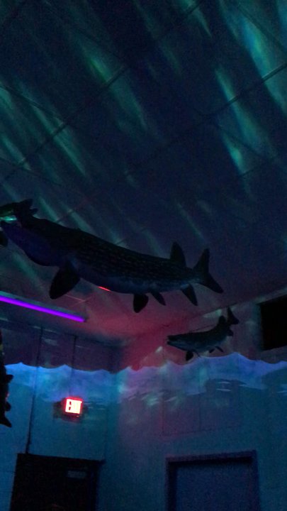 Great Lakes Glow Golf - Inside - Mini Golf Near Me - Grand Rapids, Michigan