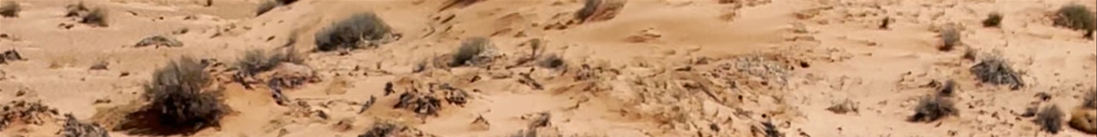 Tours & experiences in Kanab