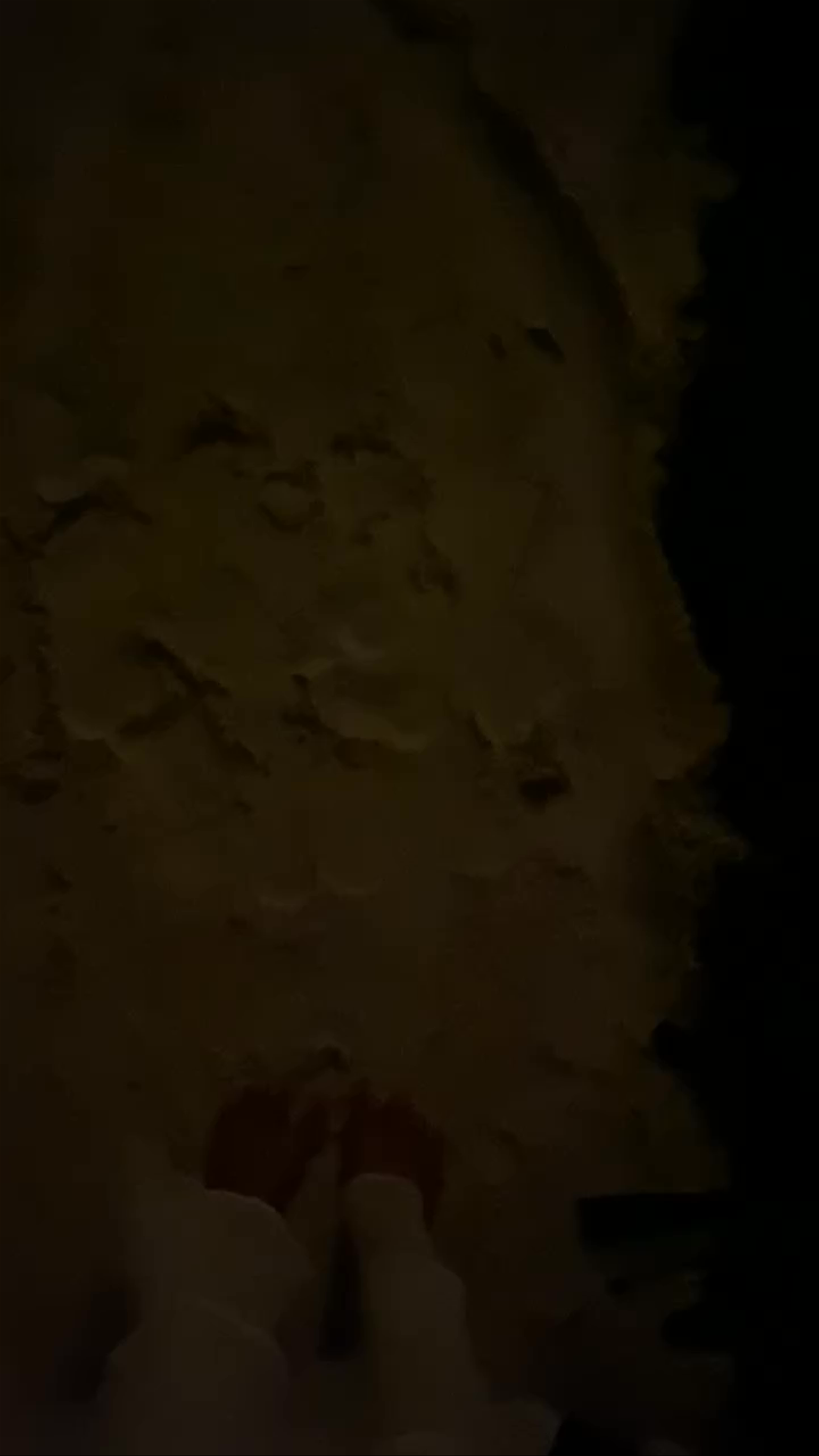 Nest @ Niyama Private Islands Maldives