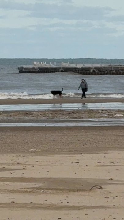 Montrose Beach - Beaches Near Me - Chicago, Illinois