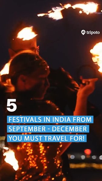 Photo of It is the Season of 