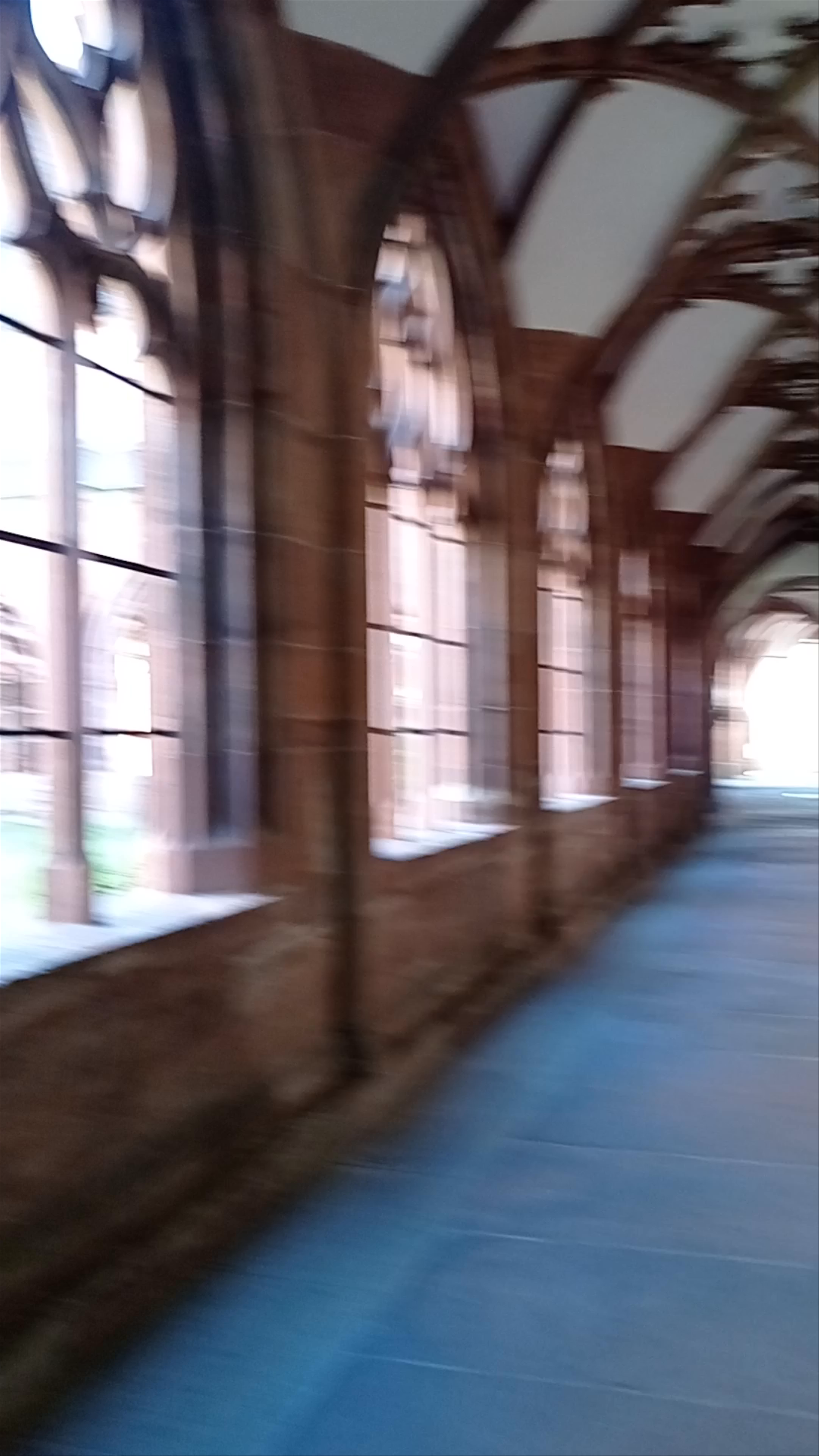 Basel Minster Cloisters: A Walk Through Medieval Mystery