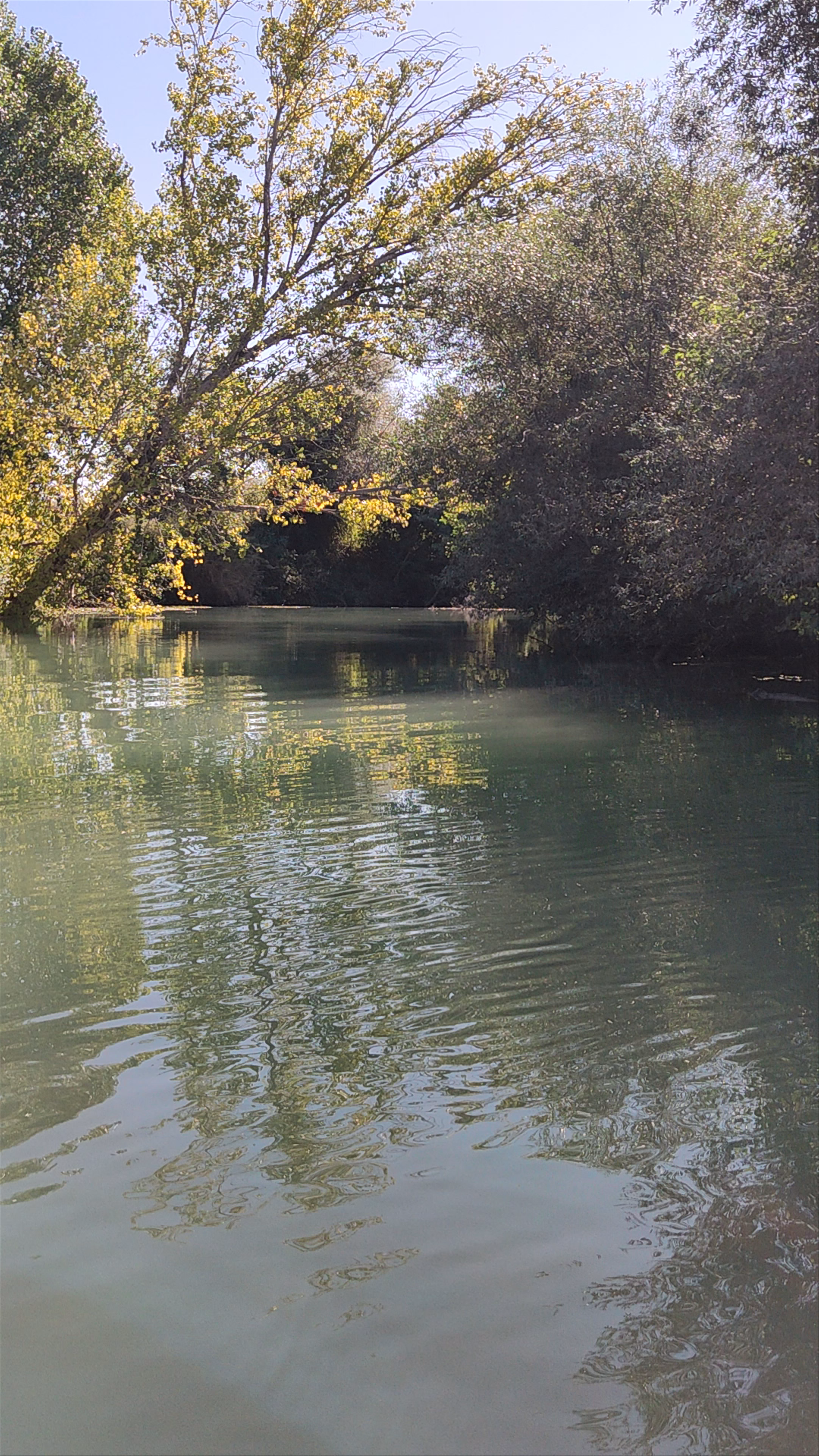 Βαρκάδα στον Αχέροντα