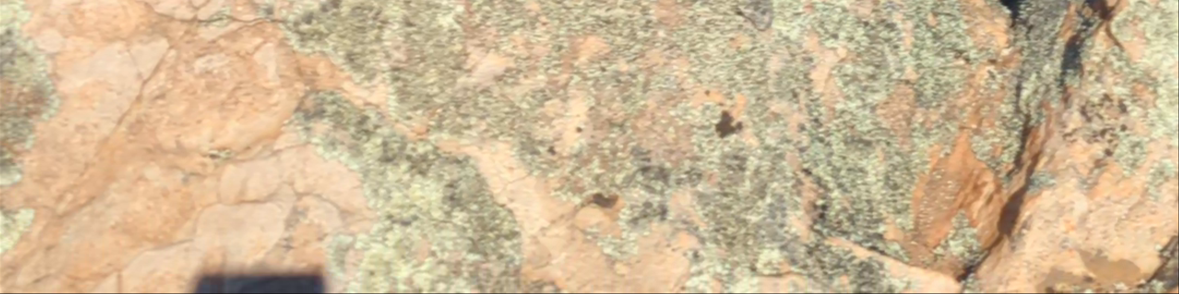 South Australia