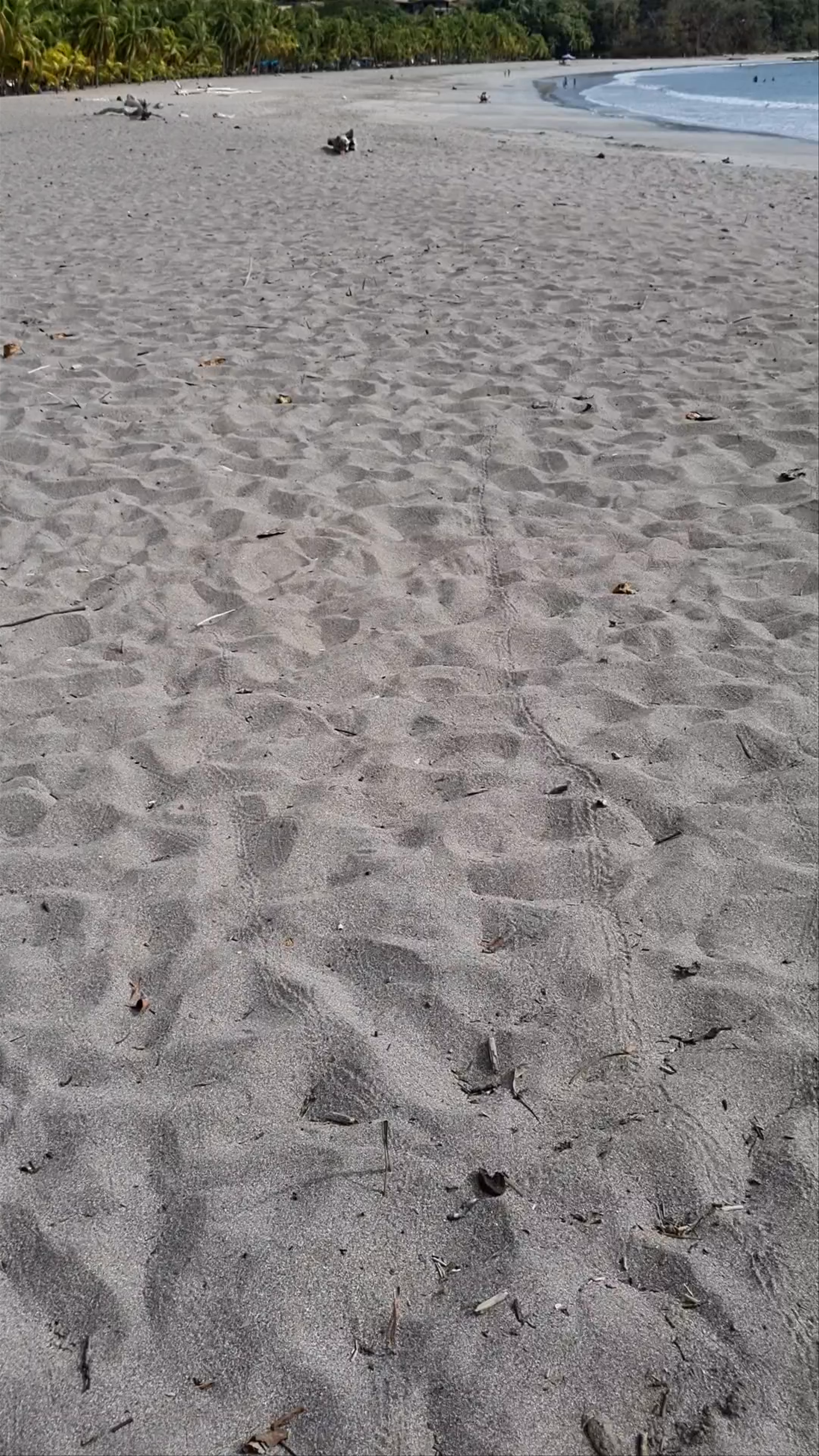 Playa Carrillo