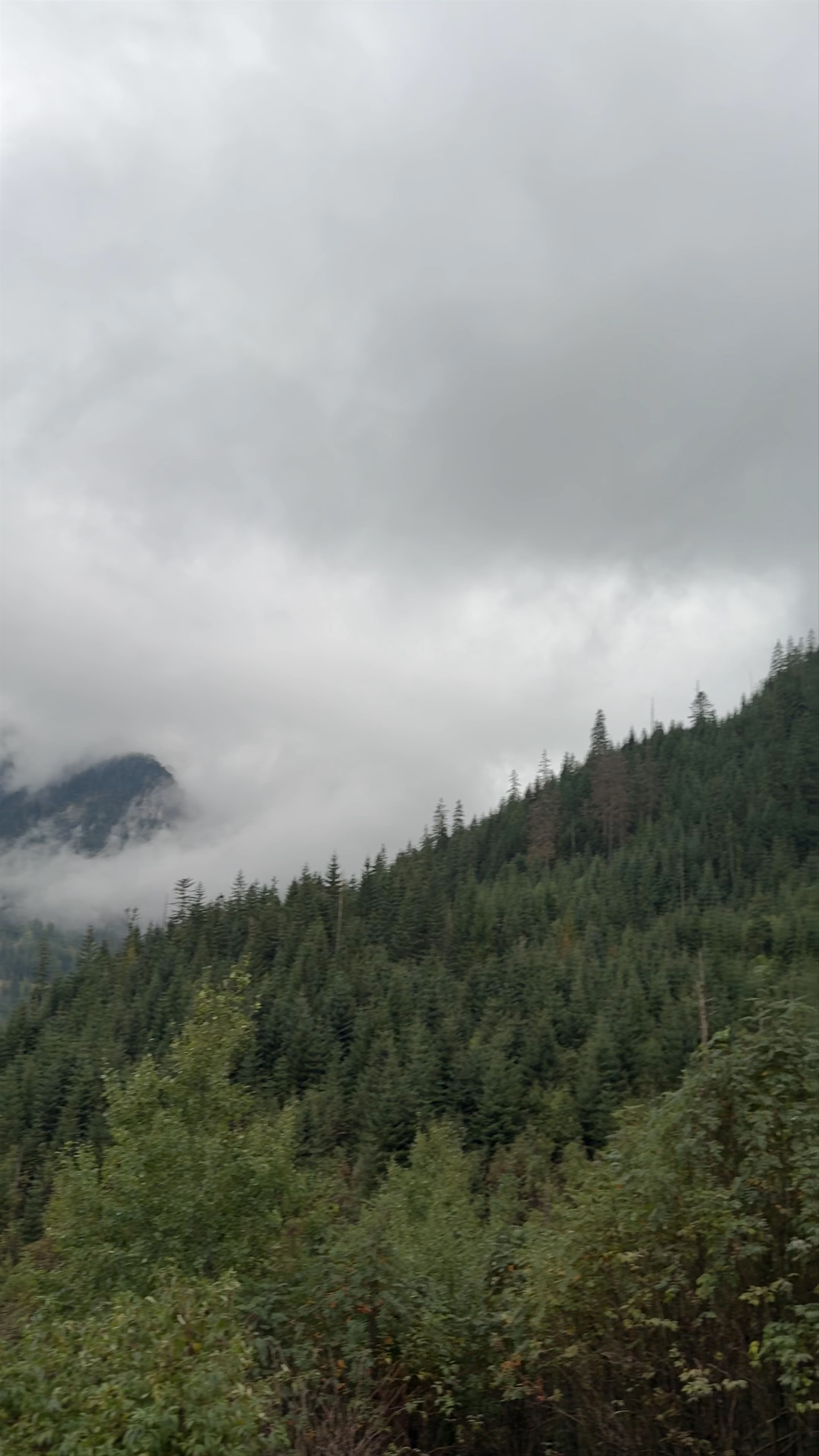 Mostek nad Dwernikiem w Nasiczne