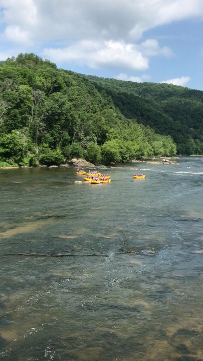 Blue Heron Whitewater - Rafting/Kayaking Near Me - Marshall, North Carolina