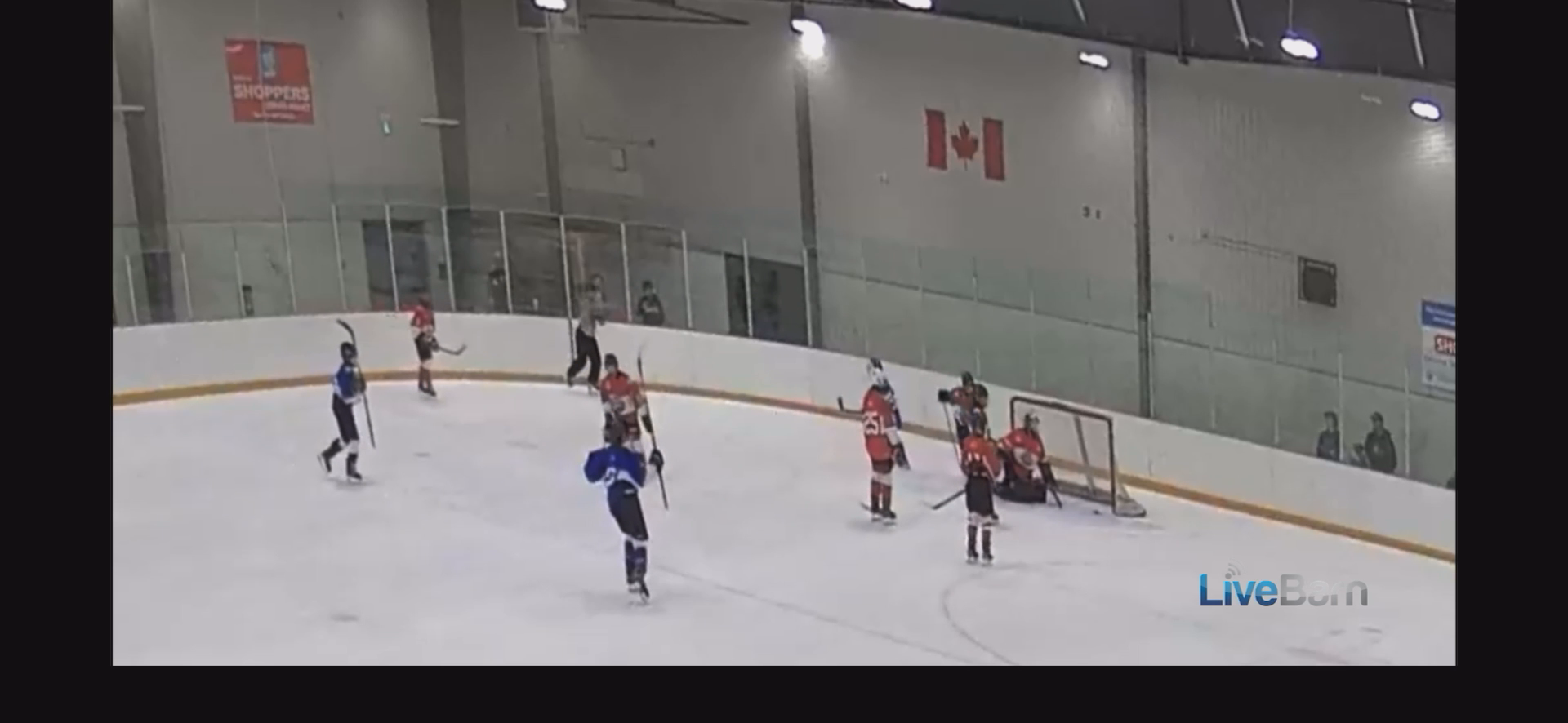 Valerie Jungwirtová's Stunning Goals |Canada